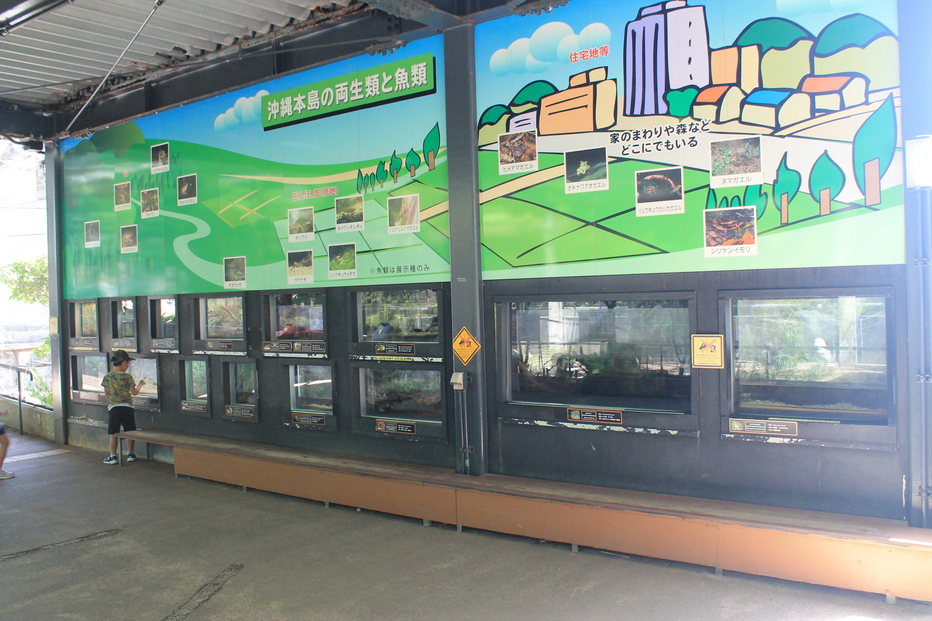 Okinawa Zoo - ectotherm tanks