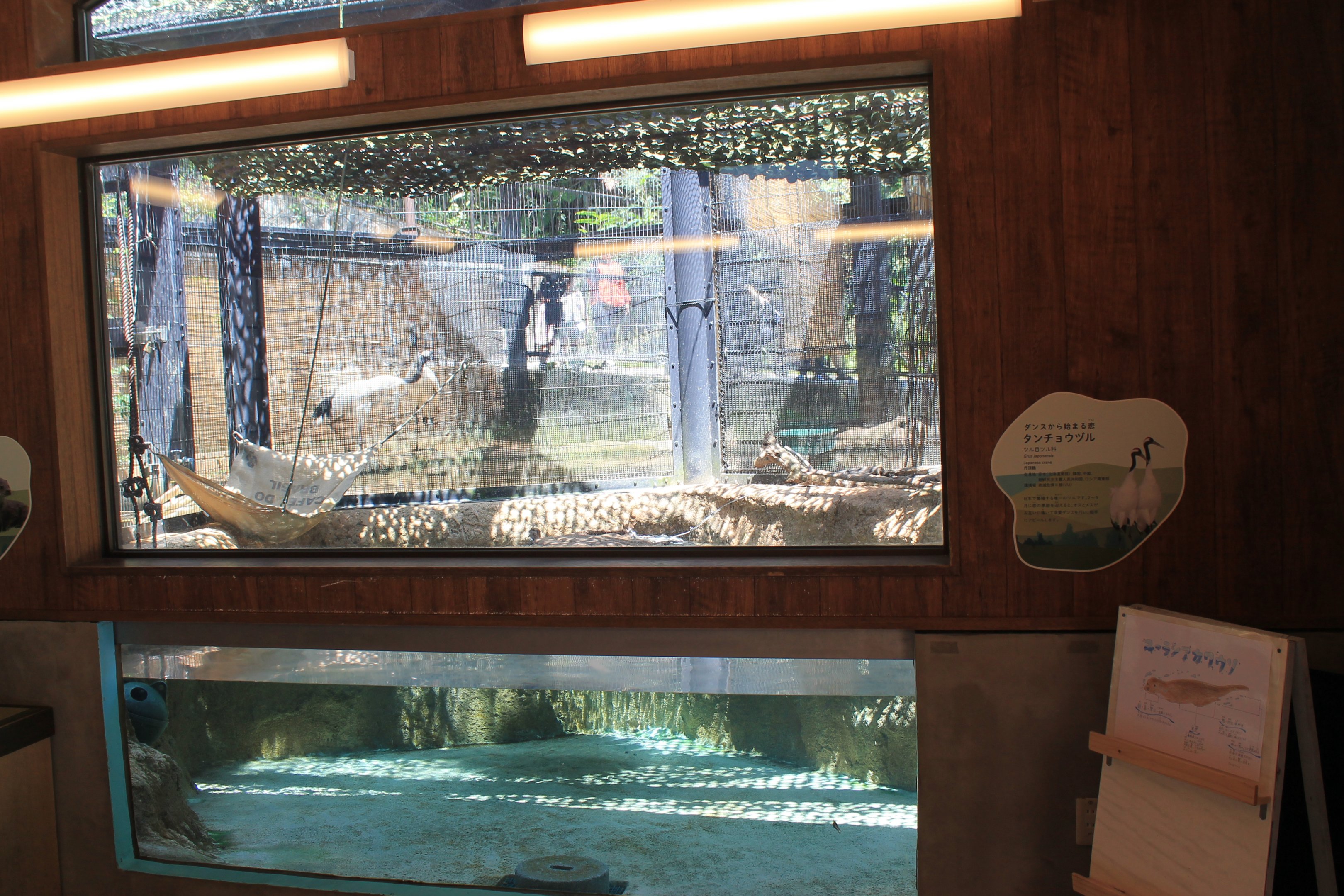 Okinawa Zoo - Eurasian Otter enclosure