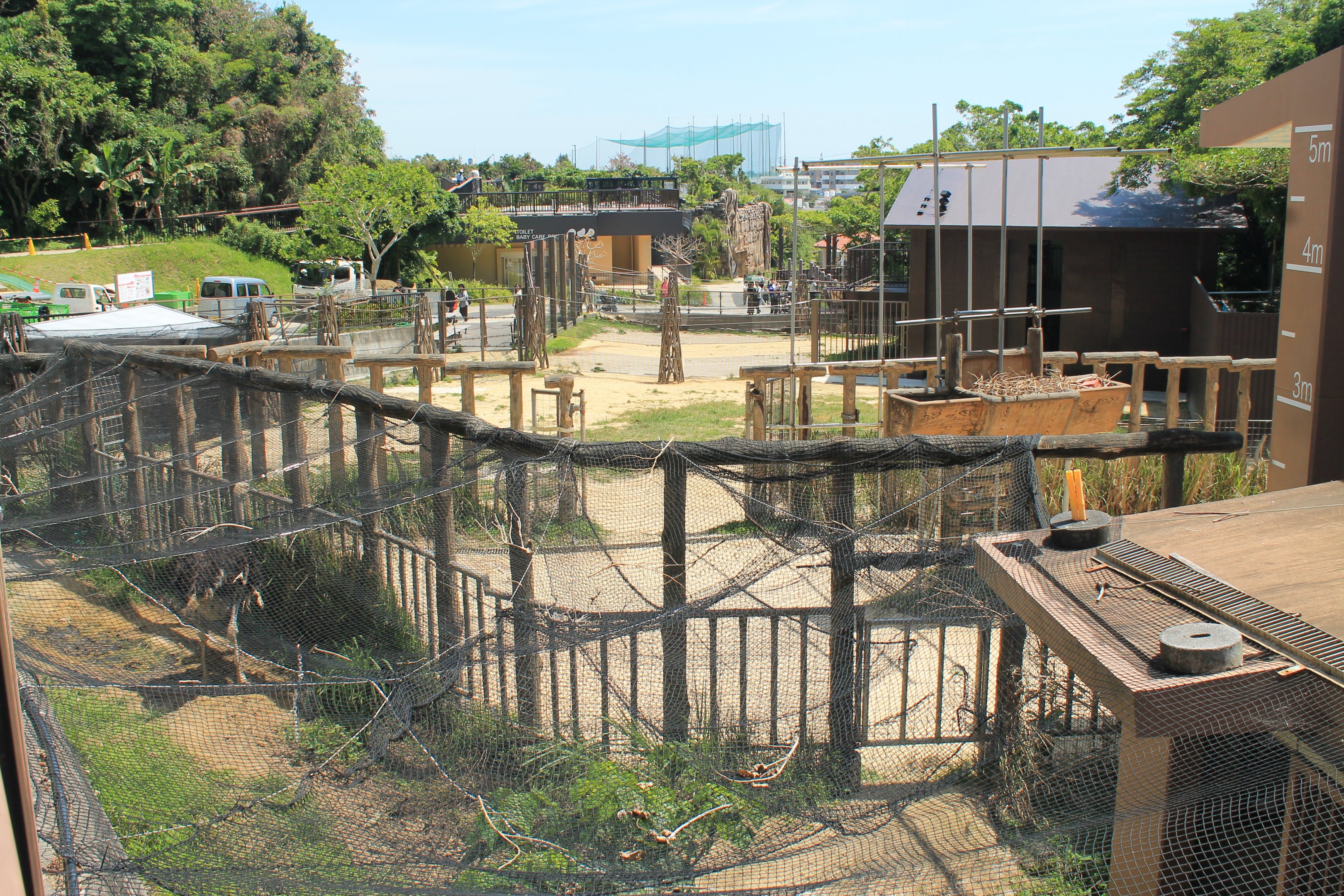 Okinawa Zoo - Giraffe enclosure