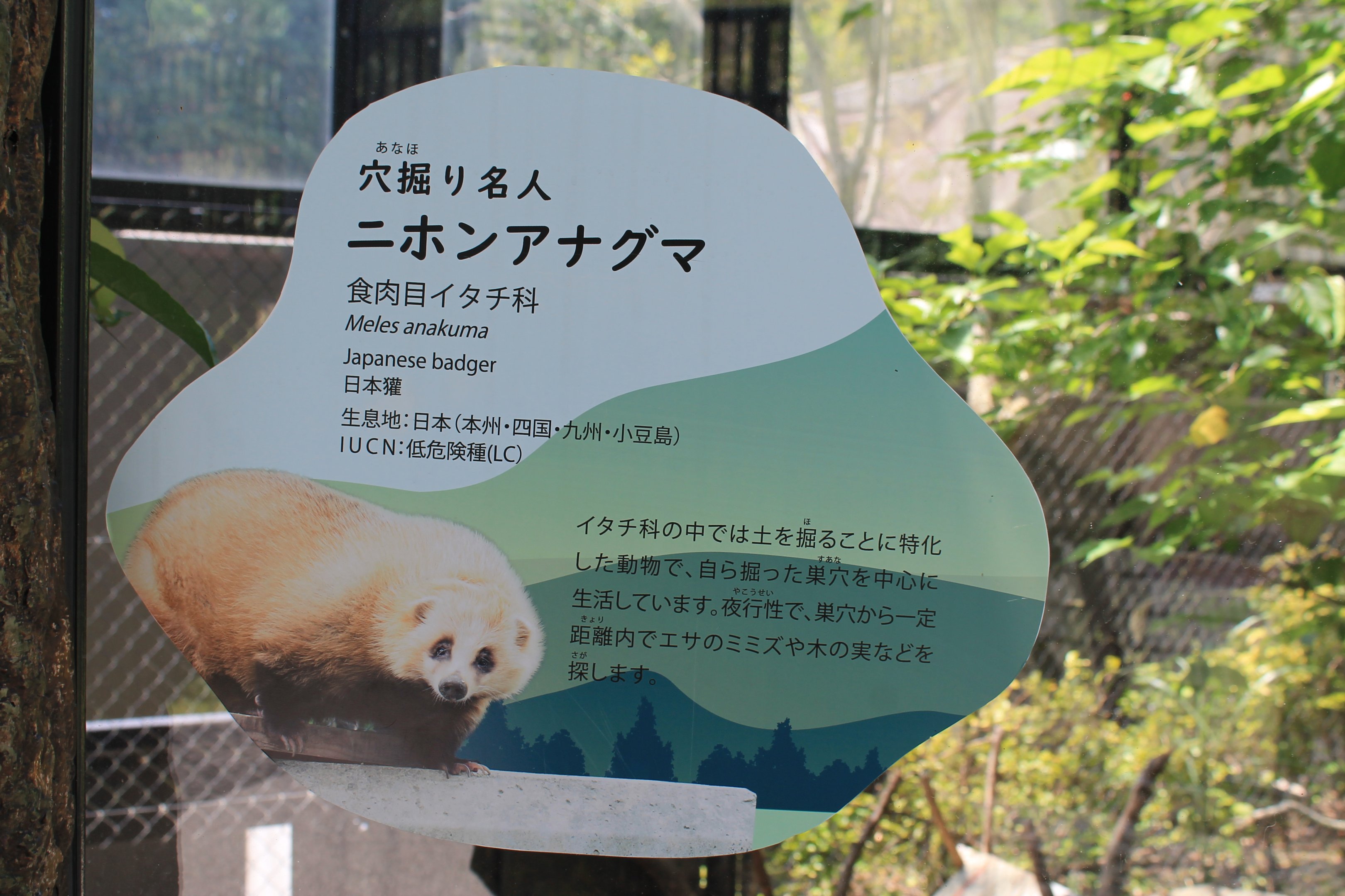 Okinawa Zoo - Japanese Badger signage