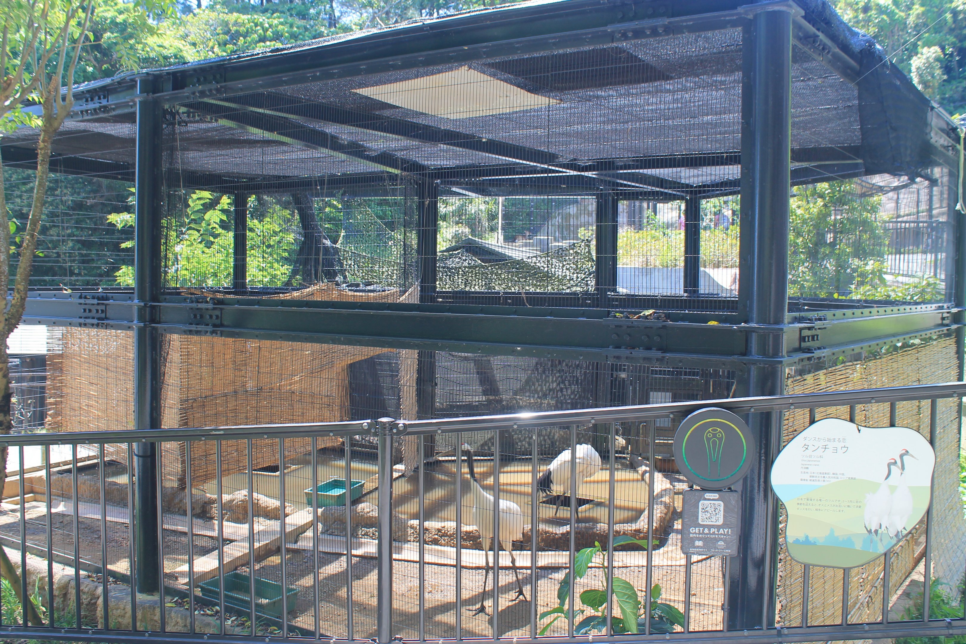 Okinawa Zoo - Japanese Crane aviary