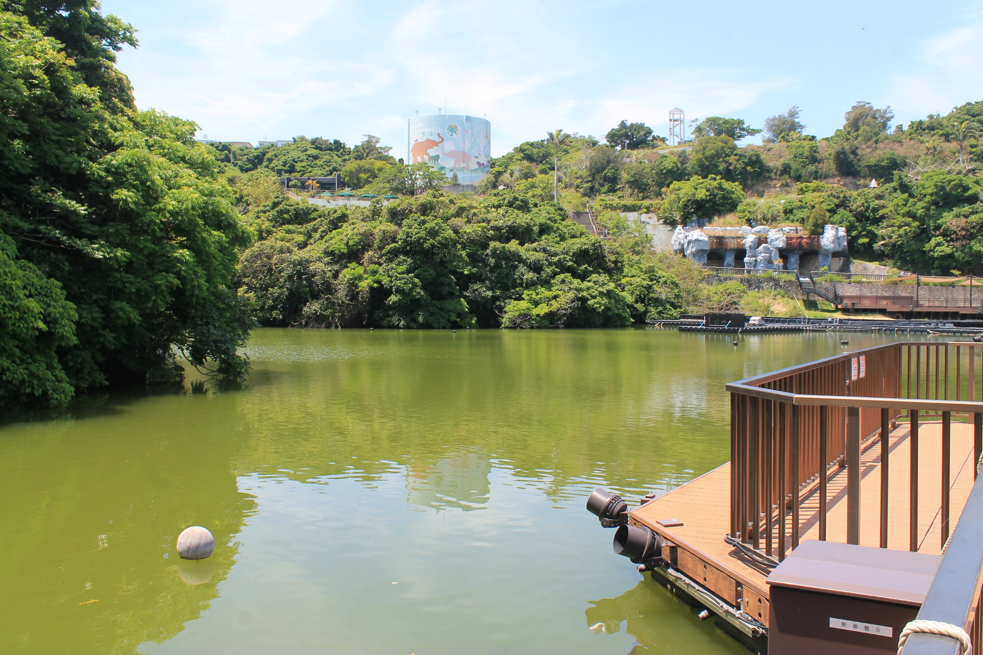 Okinawa Zoo lake