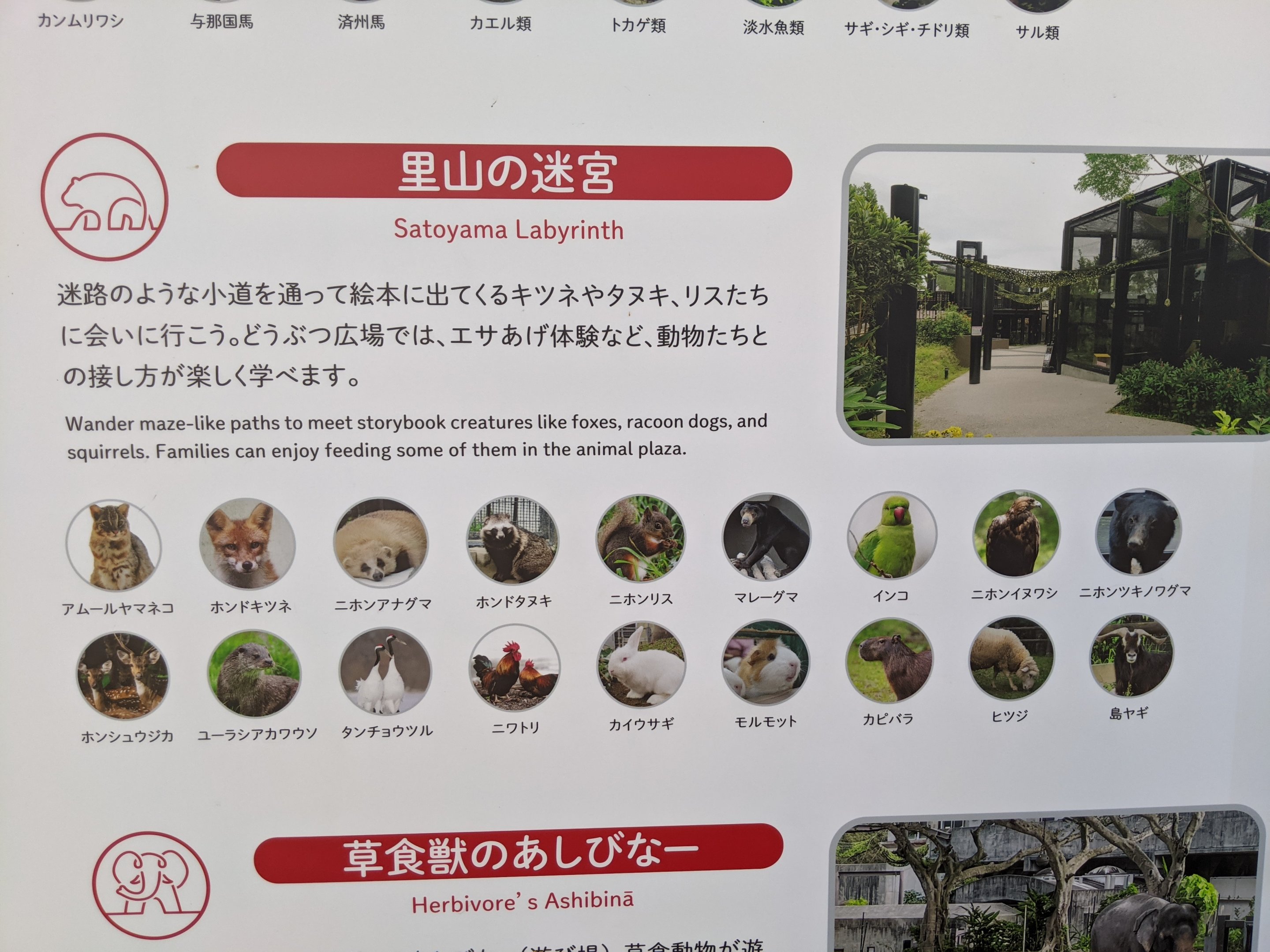Okinawa Zoo map key