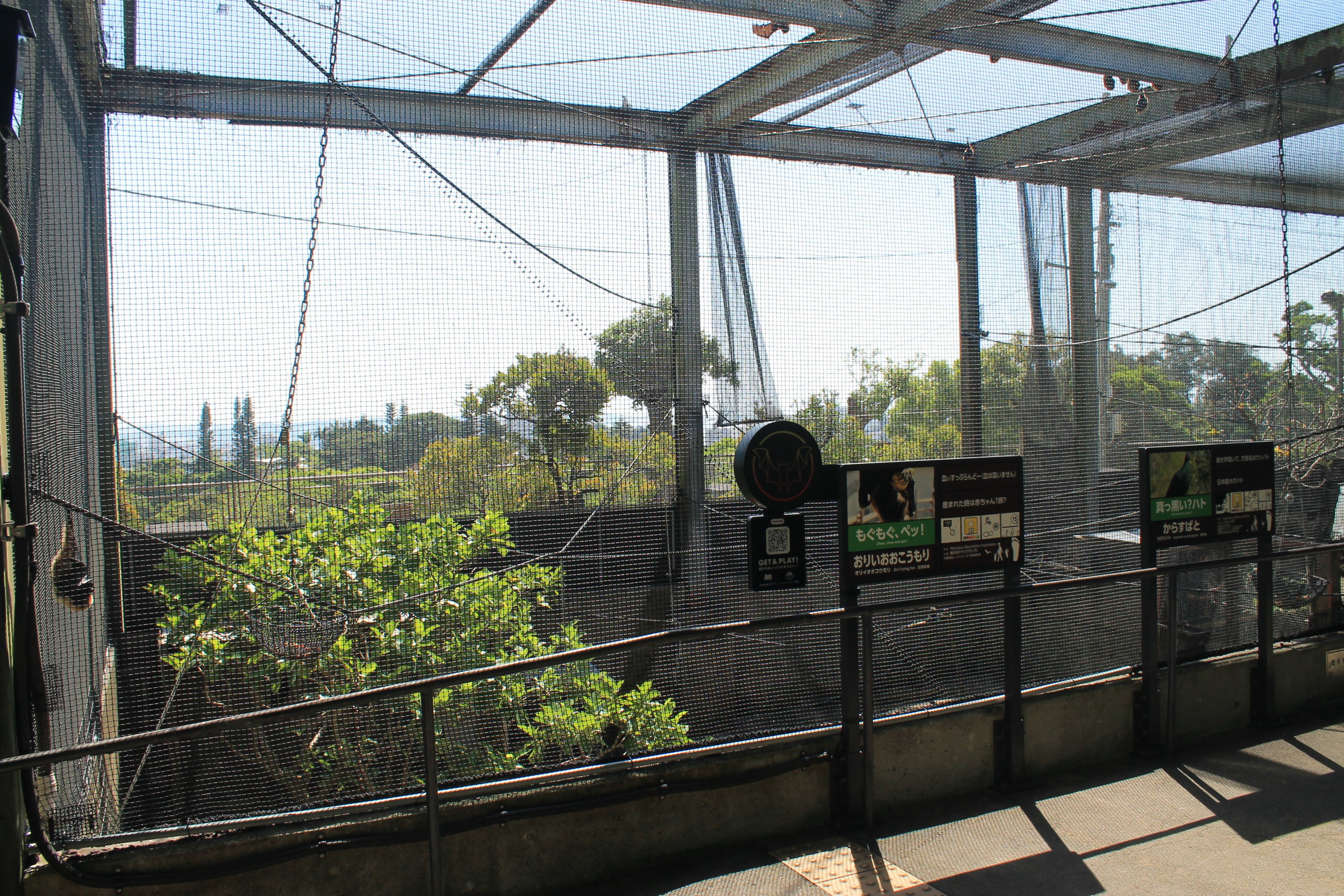 Okinawa Zoo - Ryukyu area aviary