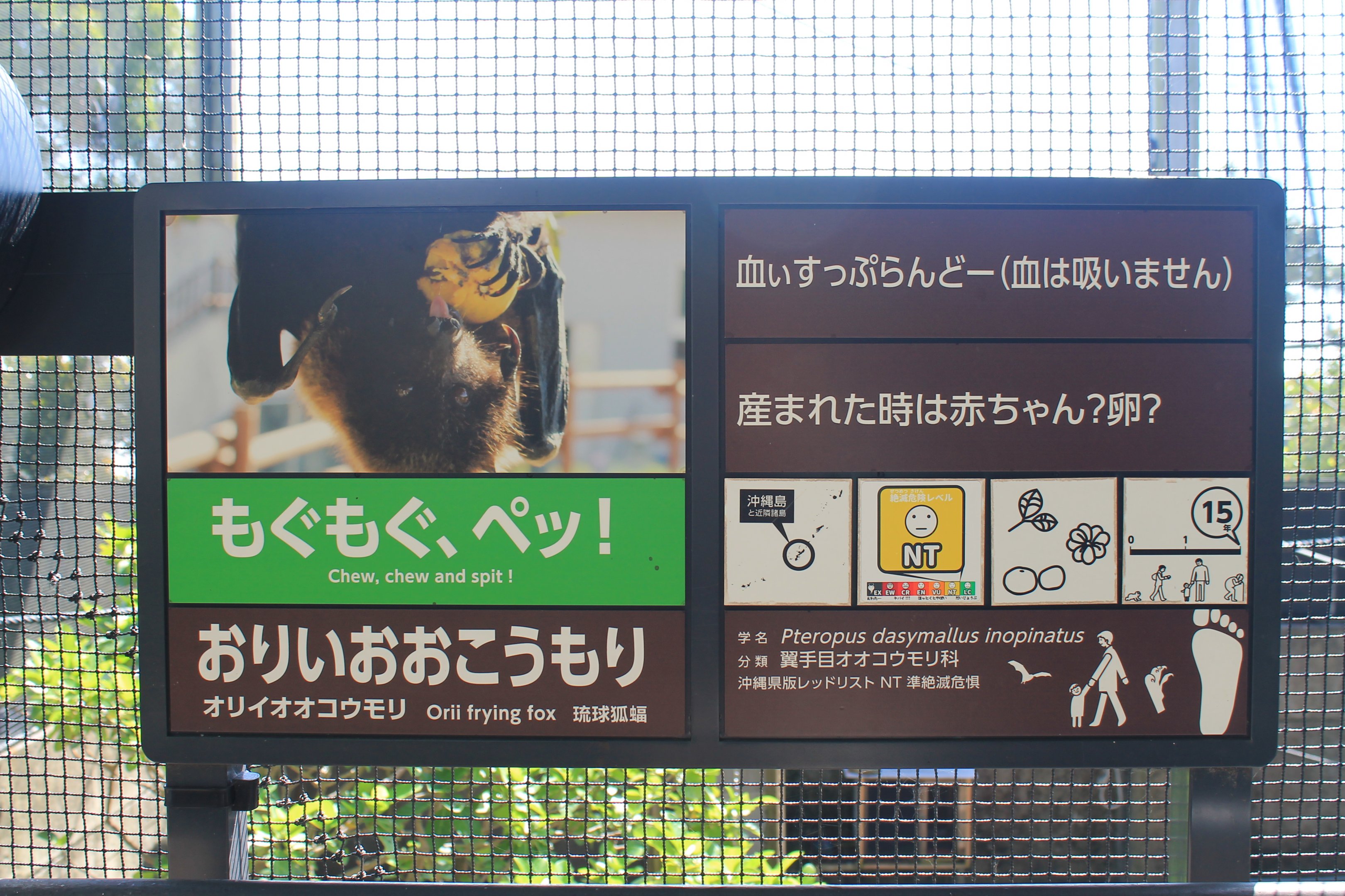Okinawa Zoo - signage example