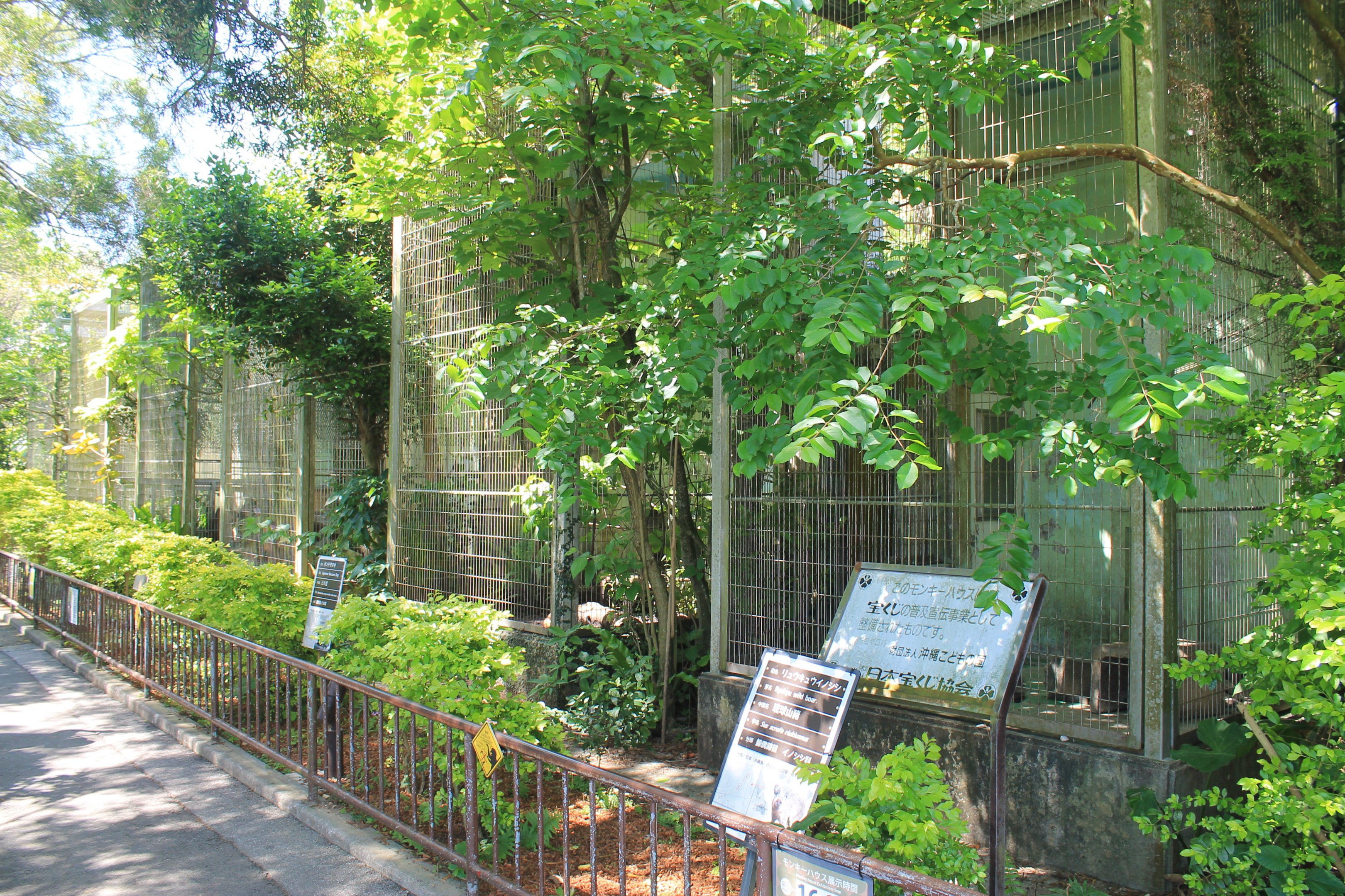 Okinawa Zoo - small cages