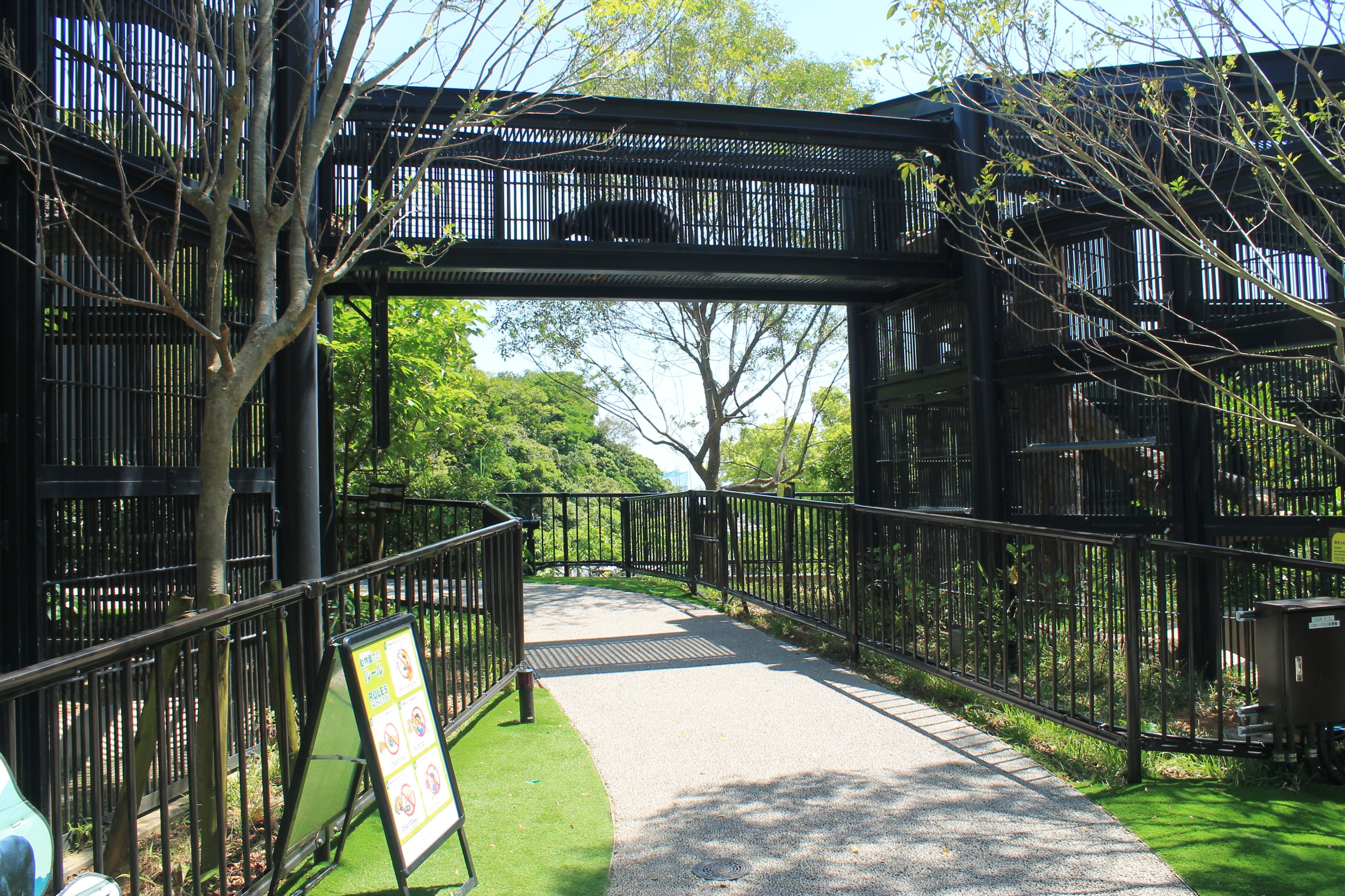 Okinawa Zoo - Sun Bear enclosure