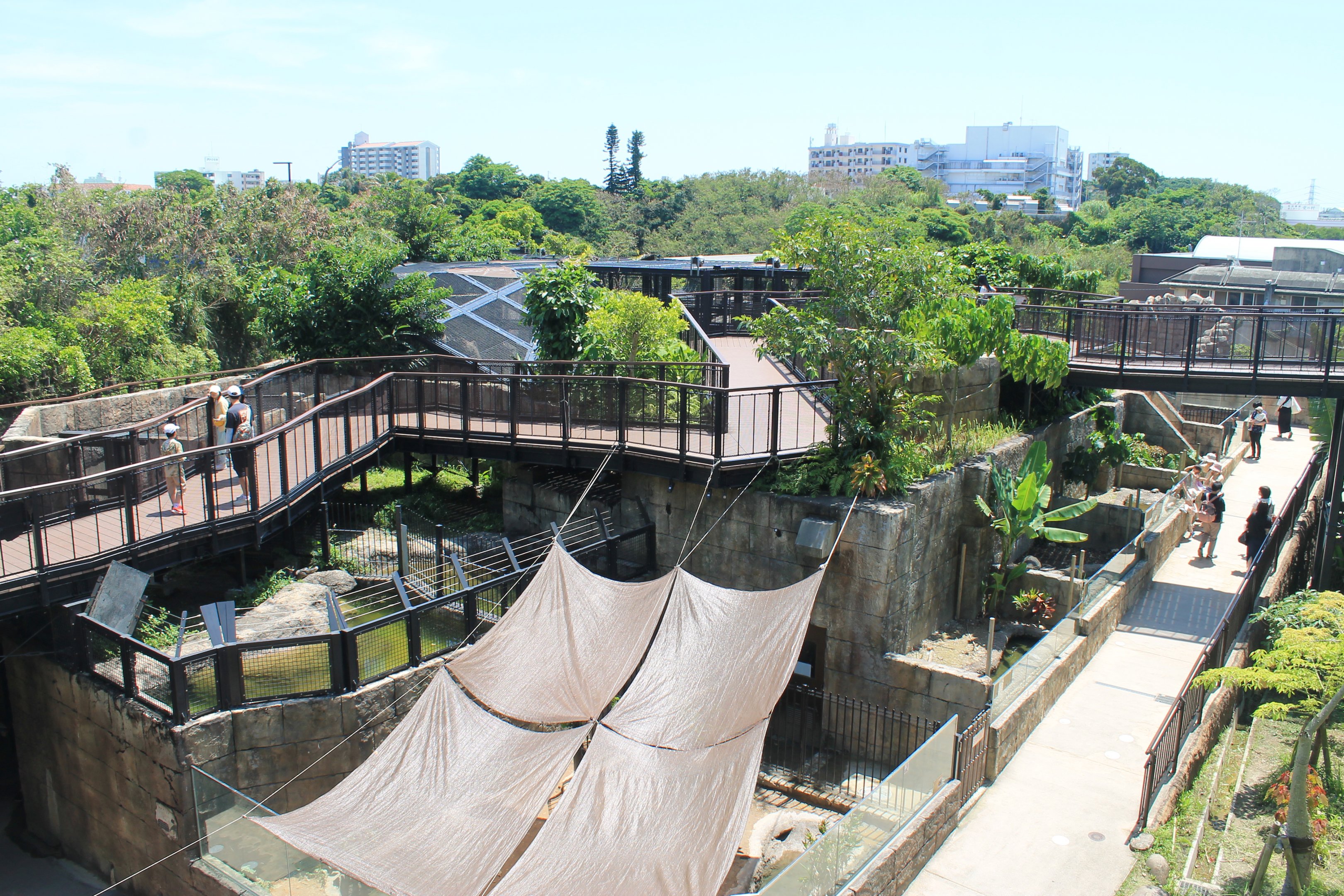 Okinawa Zoo - "Unexplored Areas of Hunters"