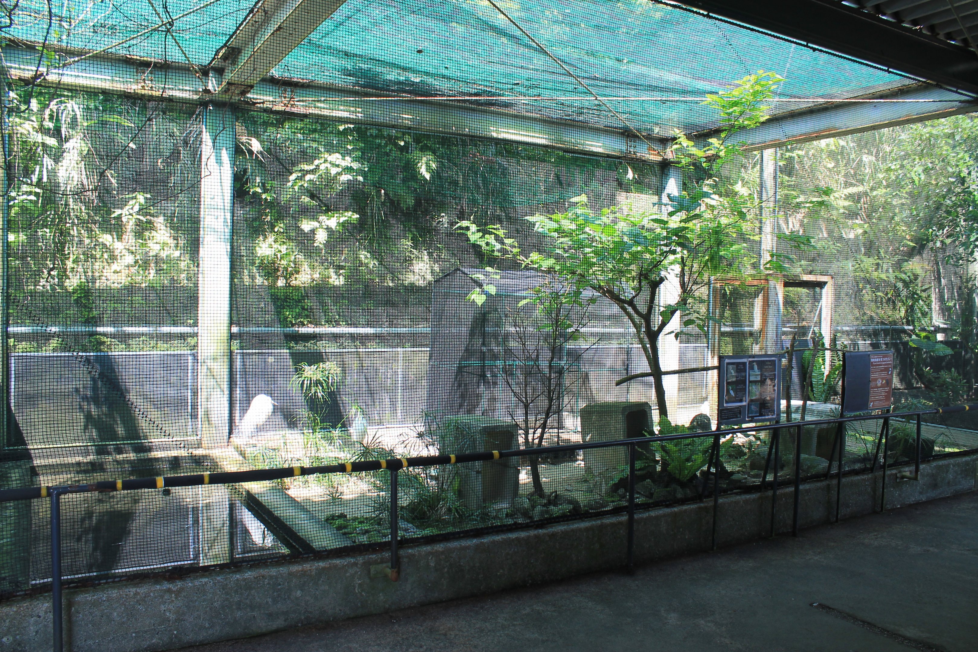 Okinawa Zoo - waterbird aviary