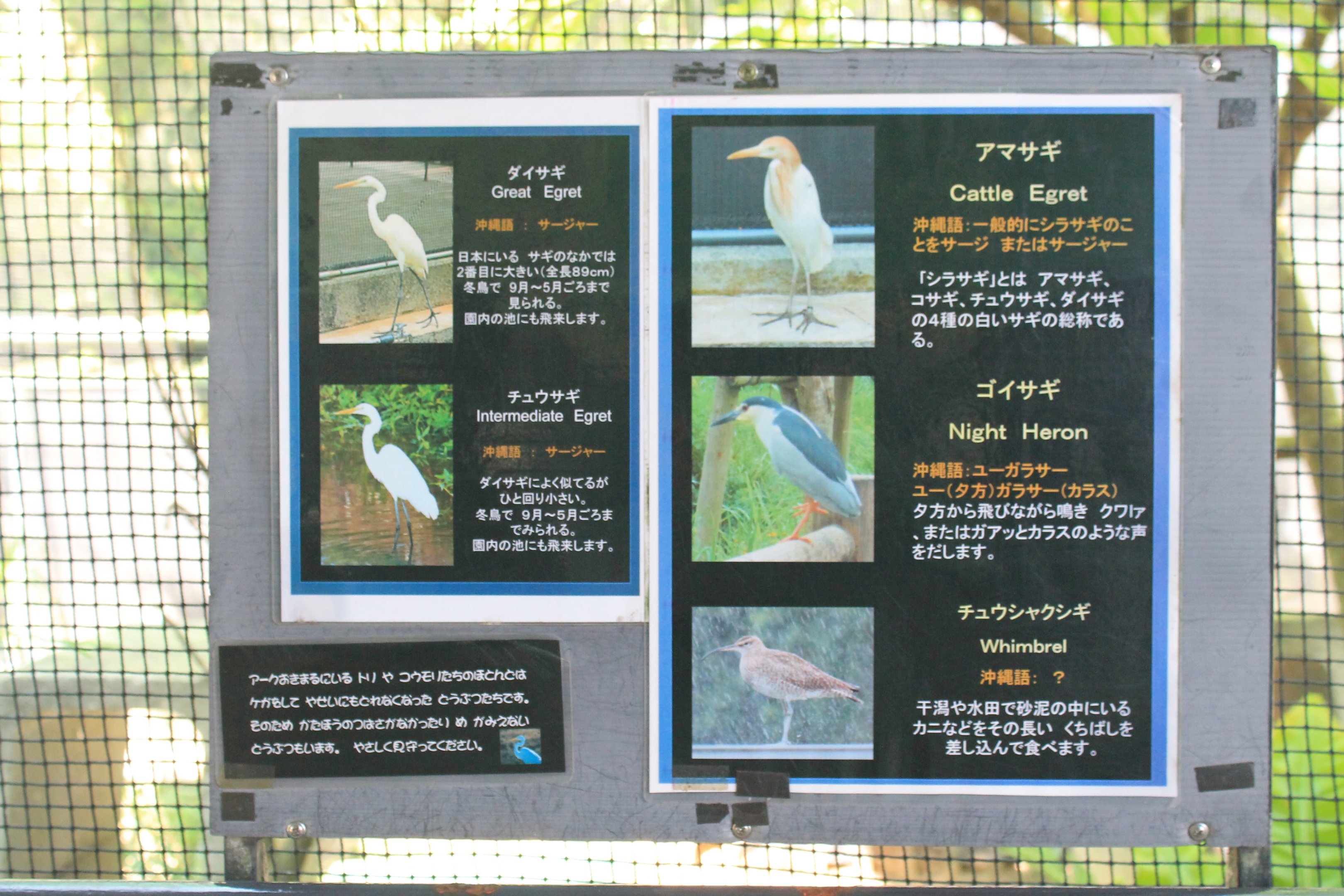 Okinawa Zoo - waterbird signage