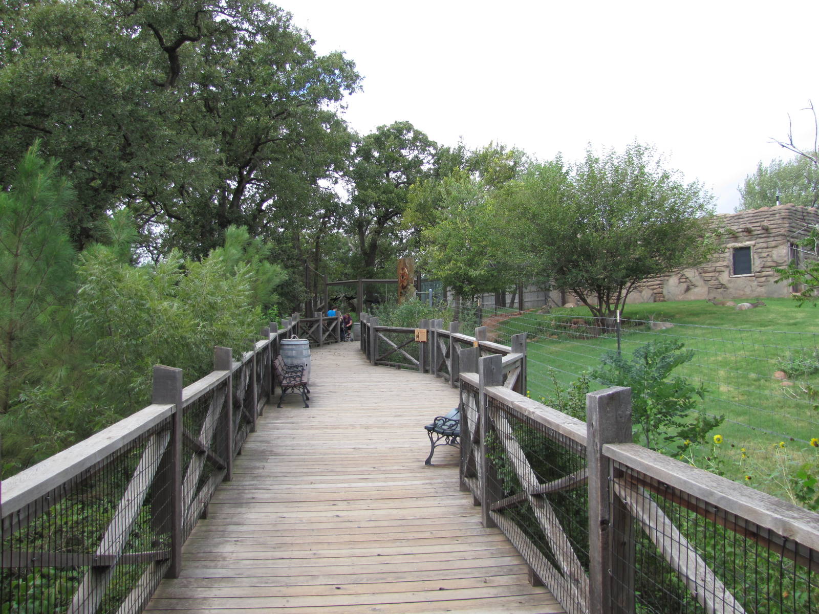 Oklahoma City Zoo 2010 - Alongside White-tailed Deer exhibit in Oklahoma Tr