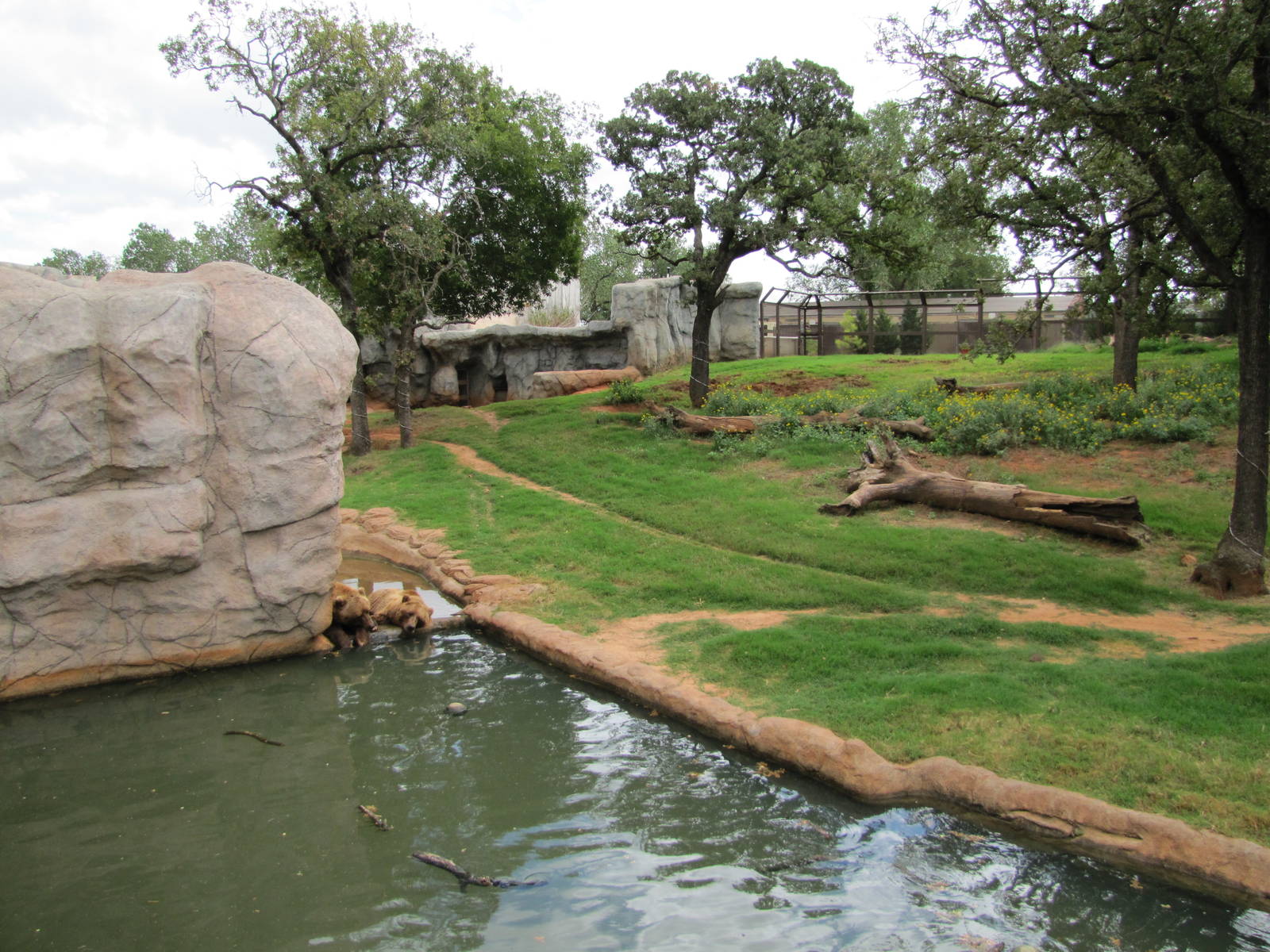 Oklahoma City Zoo 2010 - Another part of Grizzly Bear exhibit in Oklahoma T