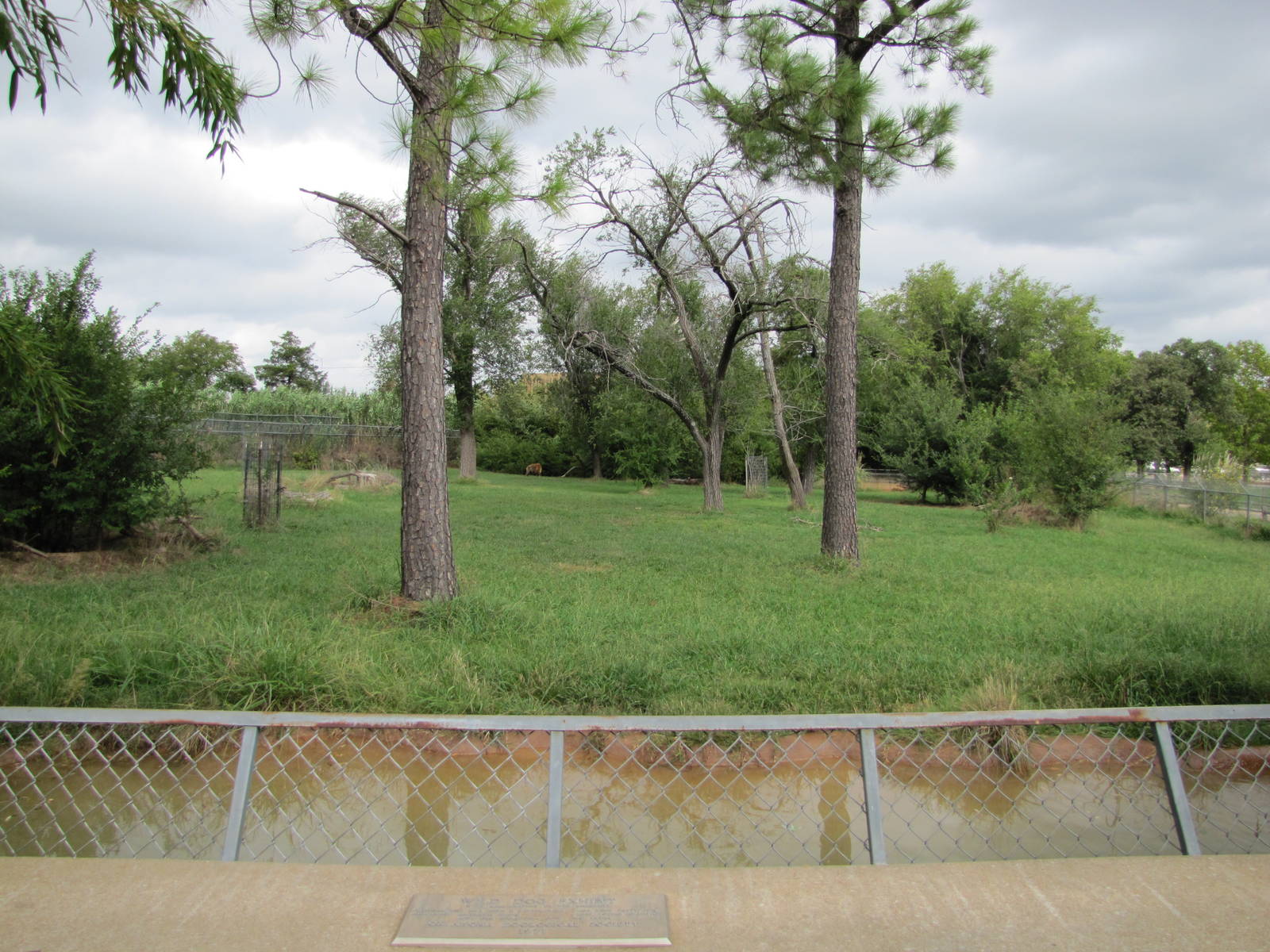 Oklahoma City Zoo 2010 - Another viewing point of a large Spotted Hyena exh