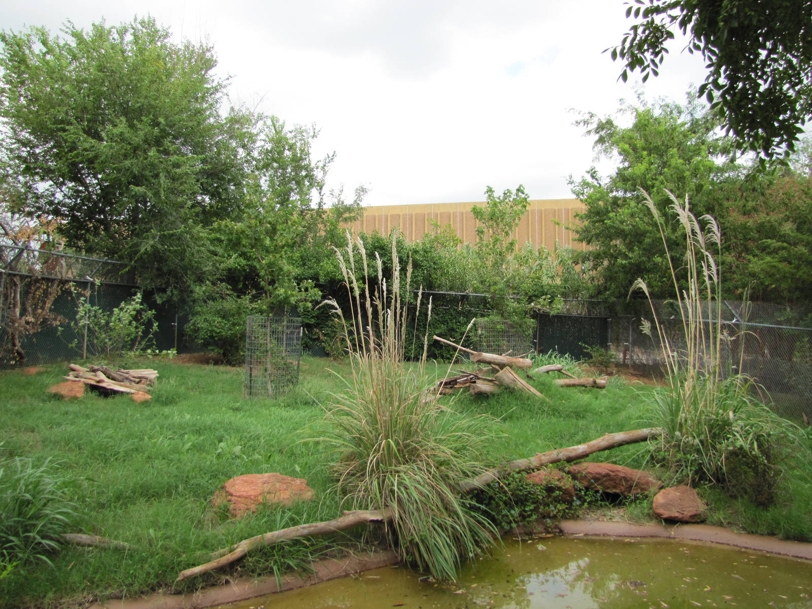 Oklahoma City Zoo 2010 - Bat-eared Fox exhibit on Wild Dog Drive