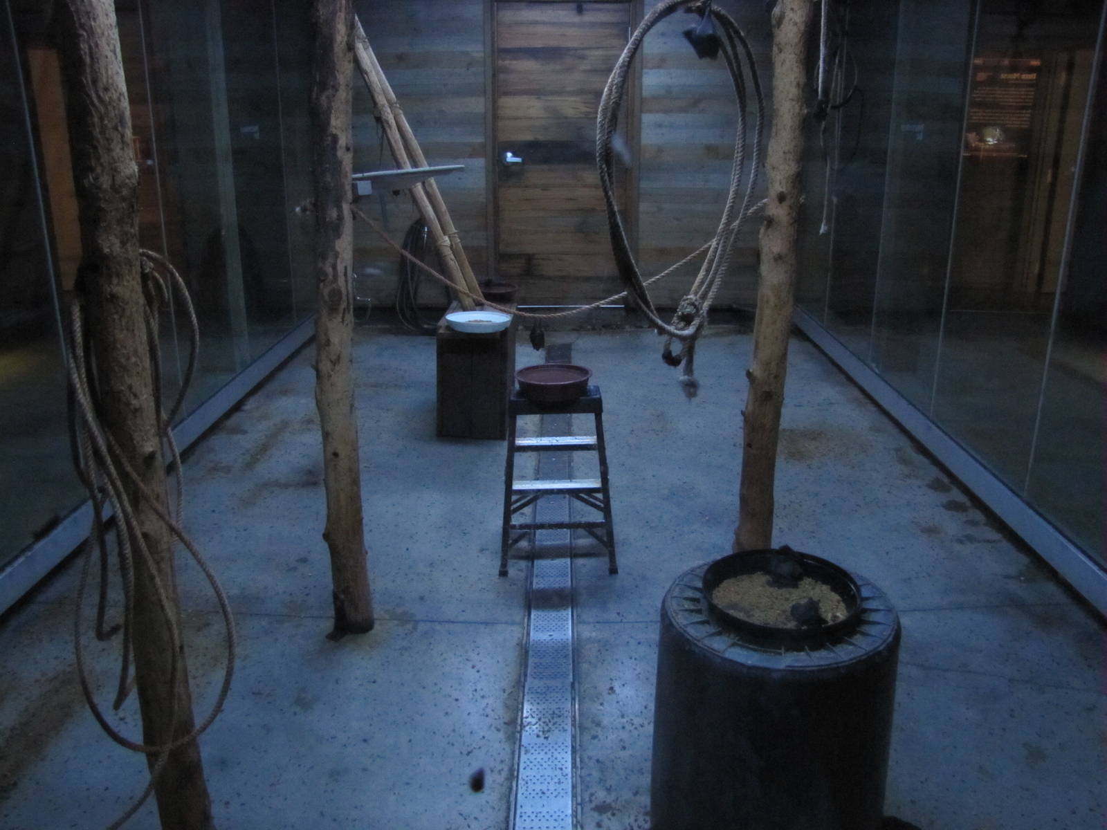 Oklahoma City Zoo 2010 - Bat exhibit in Nocturnal House in Oklahoma Trails