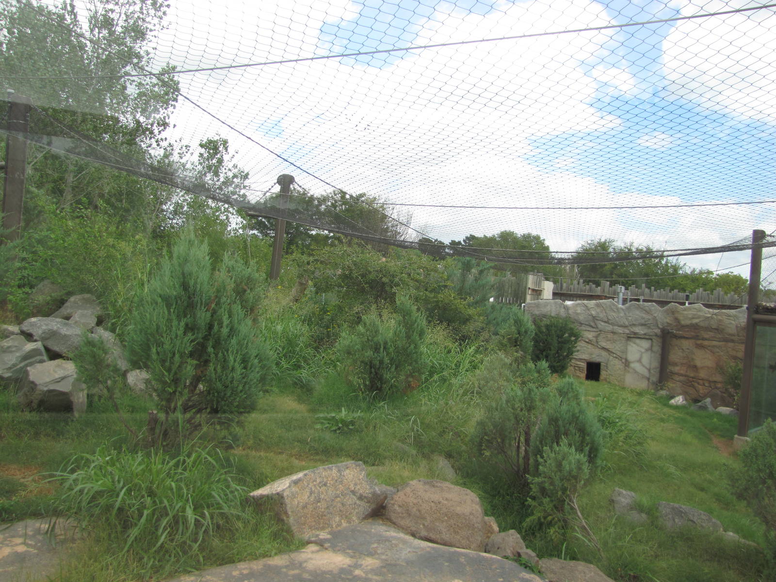 Oklahoma City Zoo 2010 - Cougar exhibit in Oklahoma Trails
