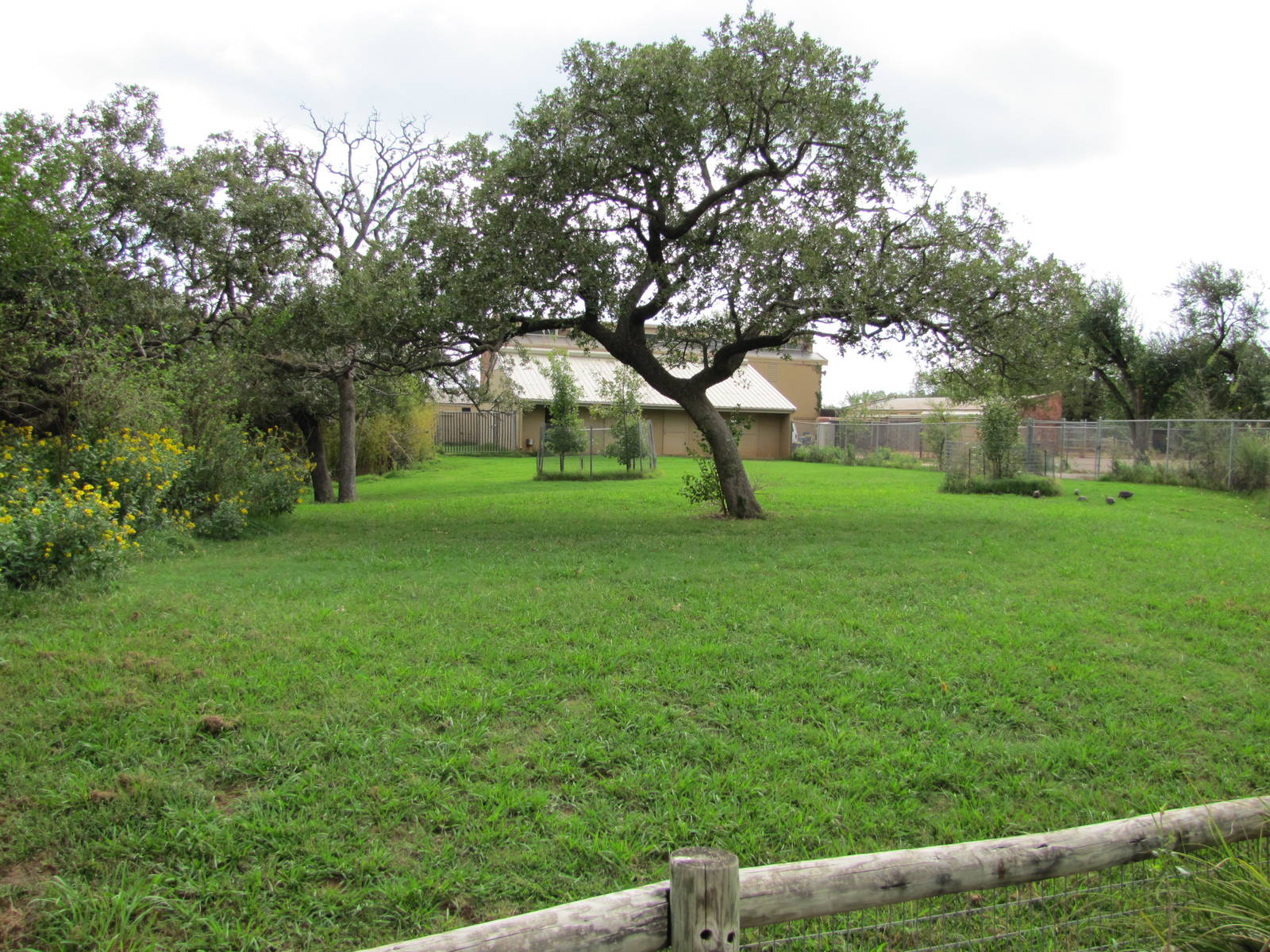 Oklahoma City Zoo 2010 - Empty ungulate exhibit