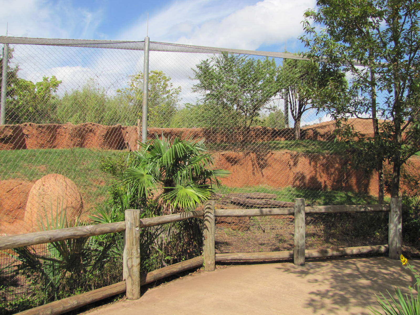 Oklahoma City Zoo 2010 - Enclosure in Cat Forest
