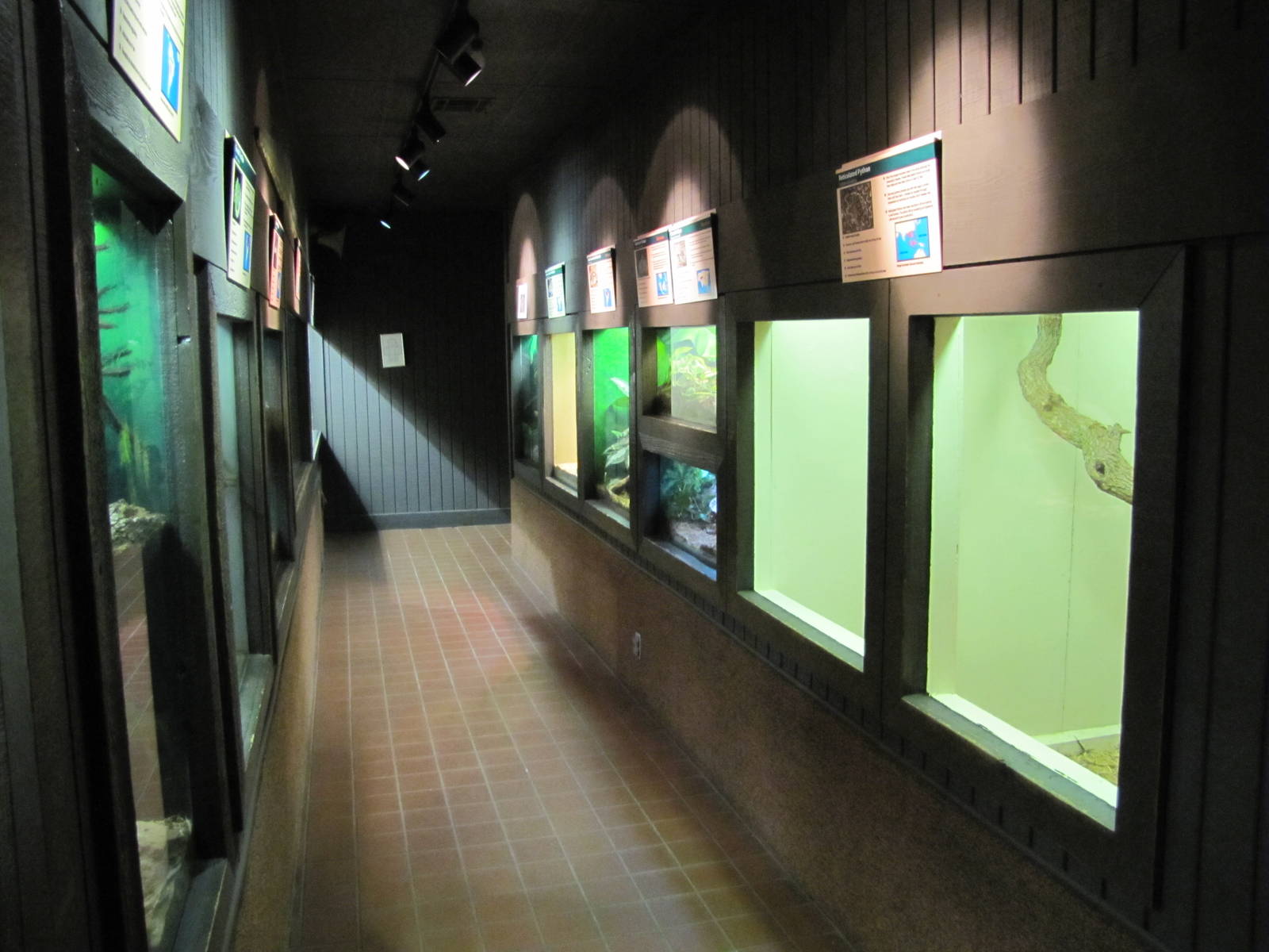 Oklahoma City Zoo 2010 - General view in Herpetarium