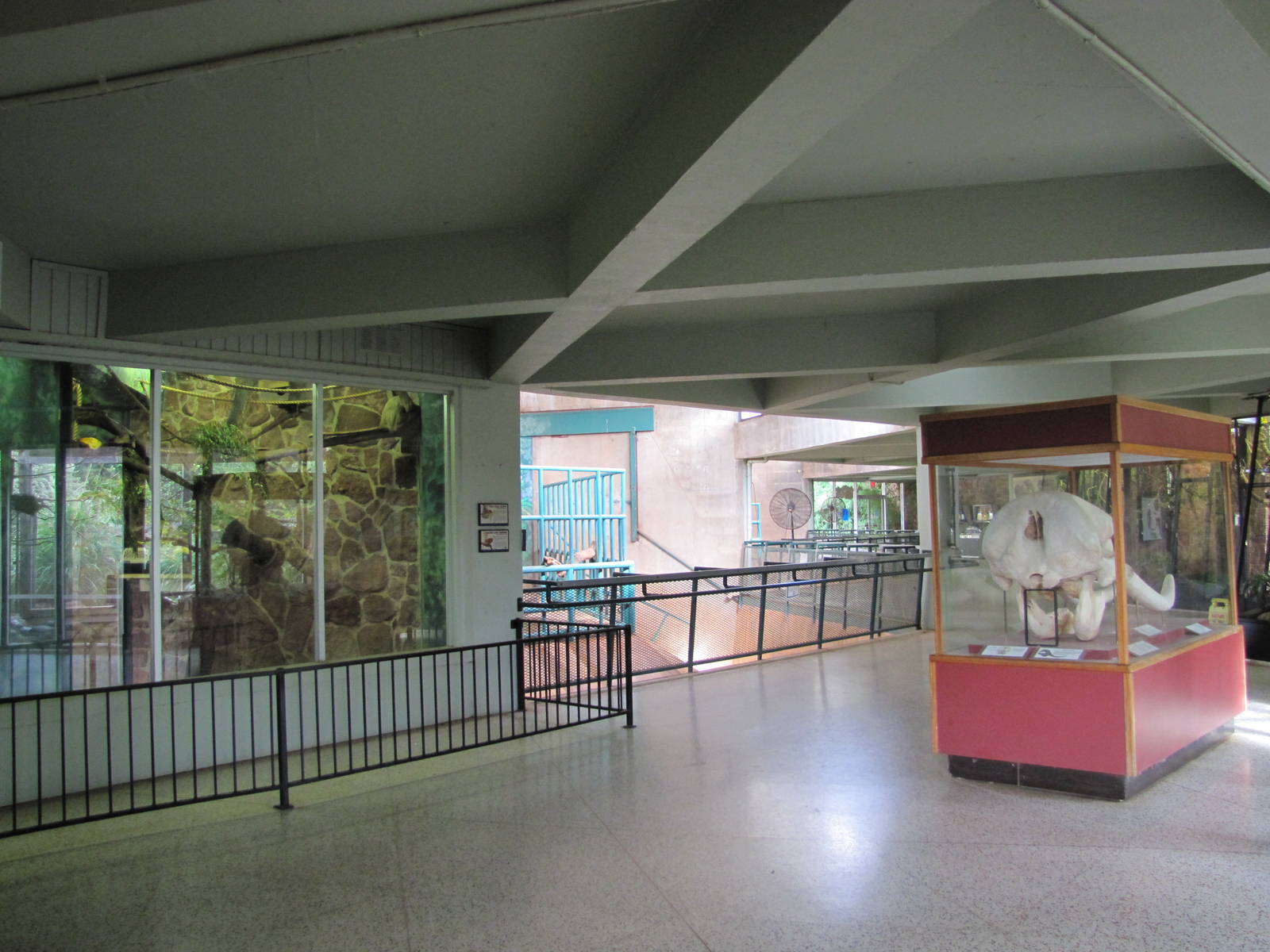 Oklahoma City Zoo 2010 - General view in Pachyderm Building