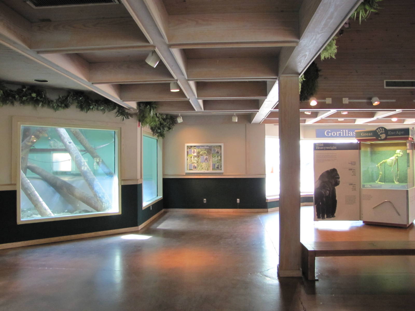 Oklahoma City Zoo 2010 - General view inside Ape House