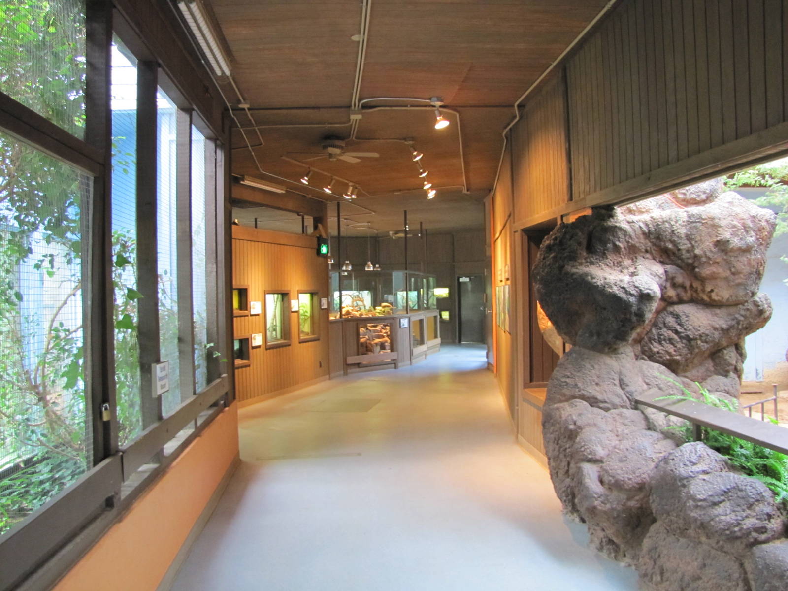 Oklahoma City Zoo 2010 - General view inside Island Life building
