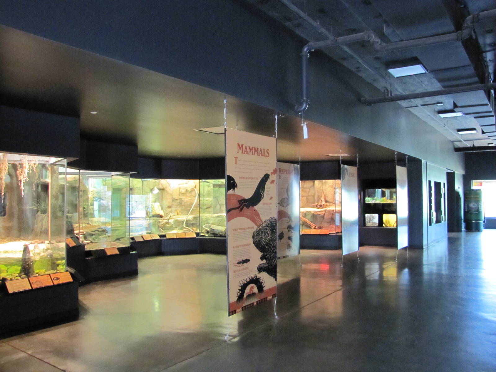 Oklahoma City Zoo 2010 - General view inside Rivers building in Oklahoma Tr