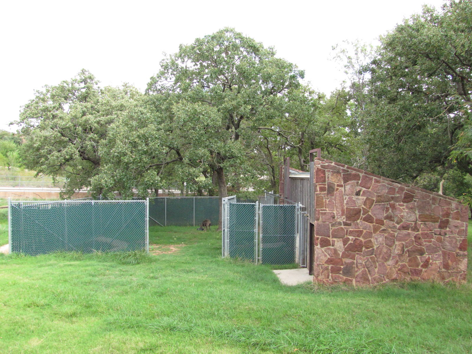 Oklahoma City Zoo 2010 - Goral building in deer exhibit