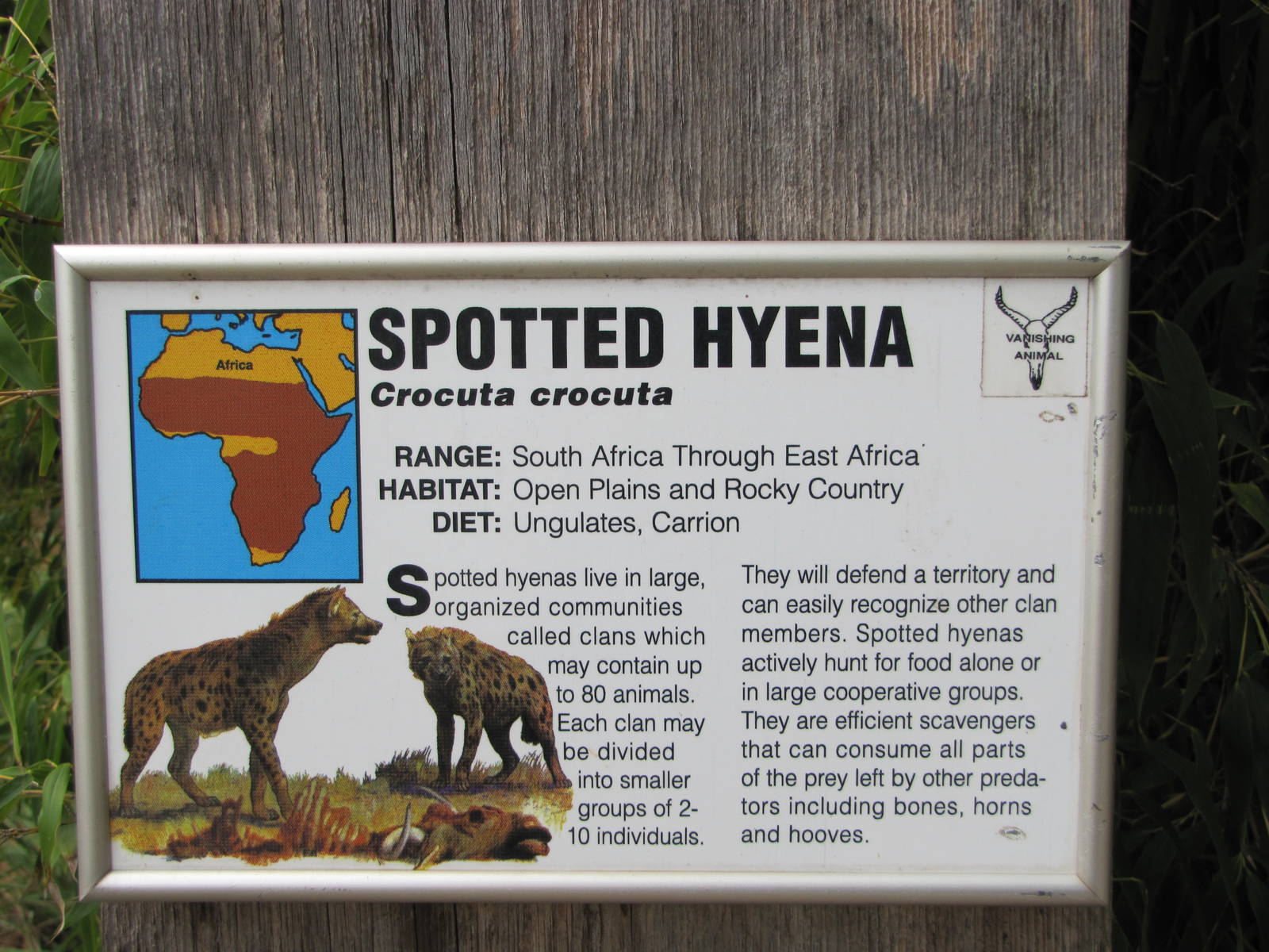 Oklahoma City Zoo 2010 - Interesting label on Wild Dog Drive