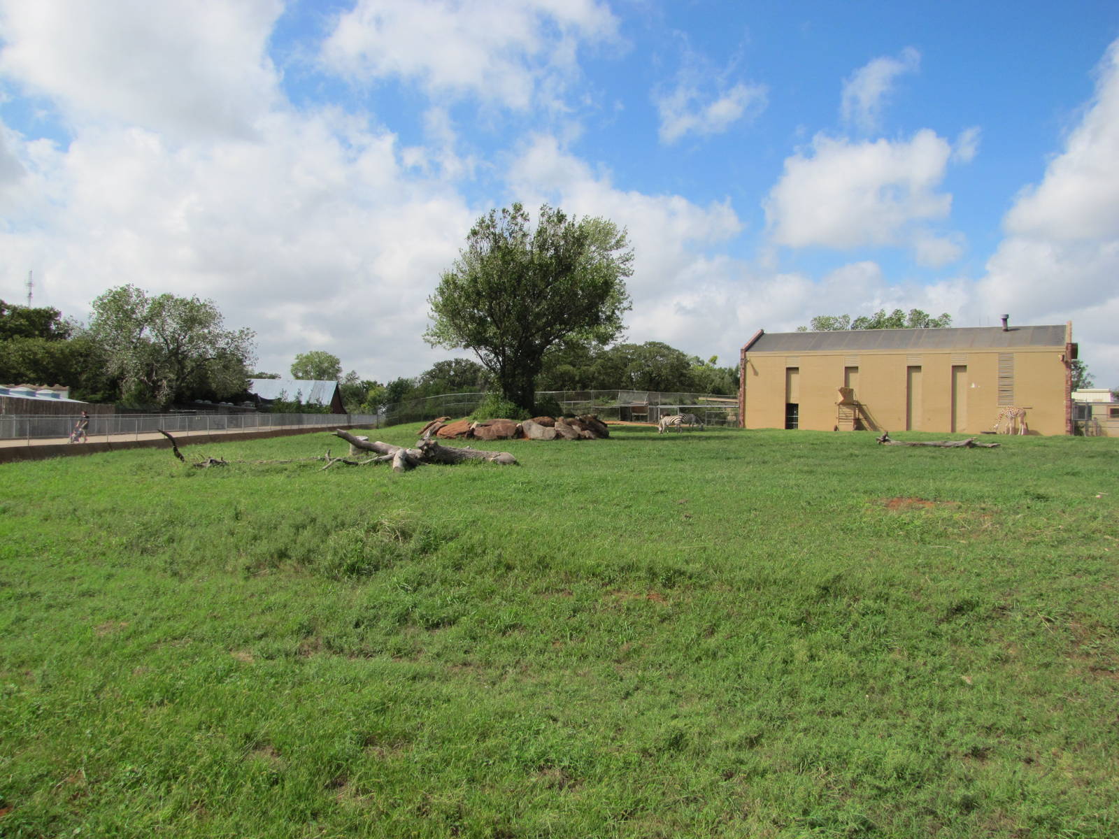 Oklahoma City Zoo 2010 - Large semi-circular Giraffe and Zebra exhibit