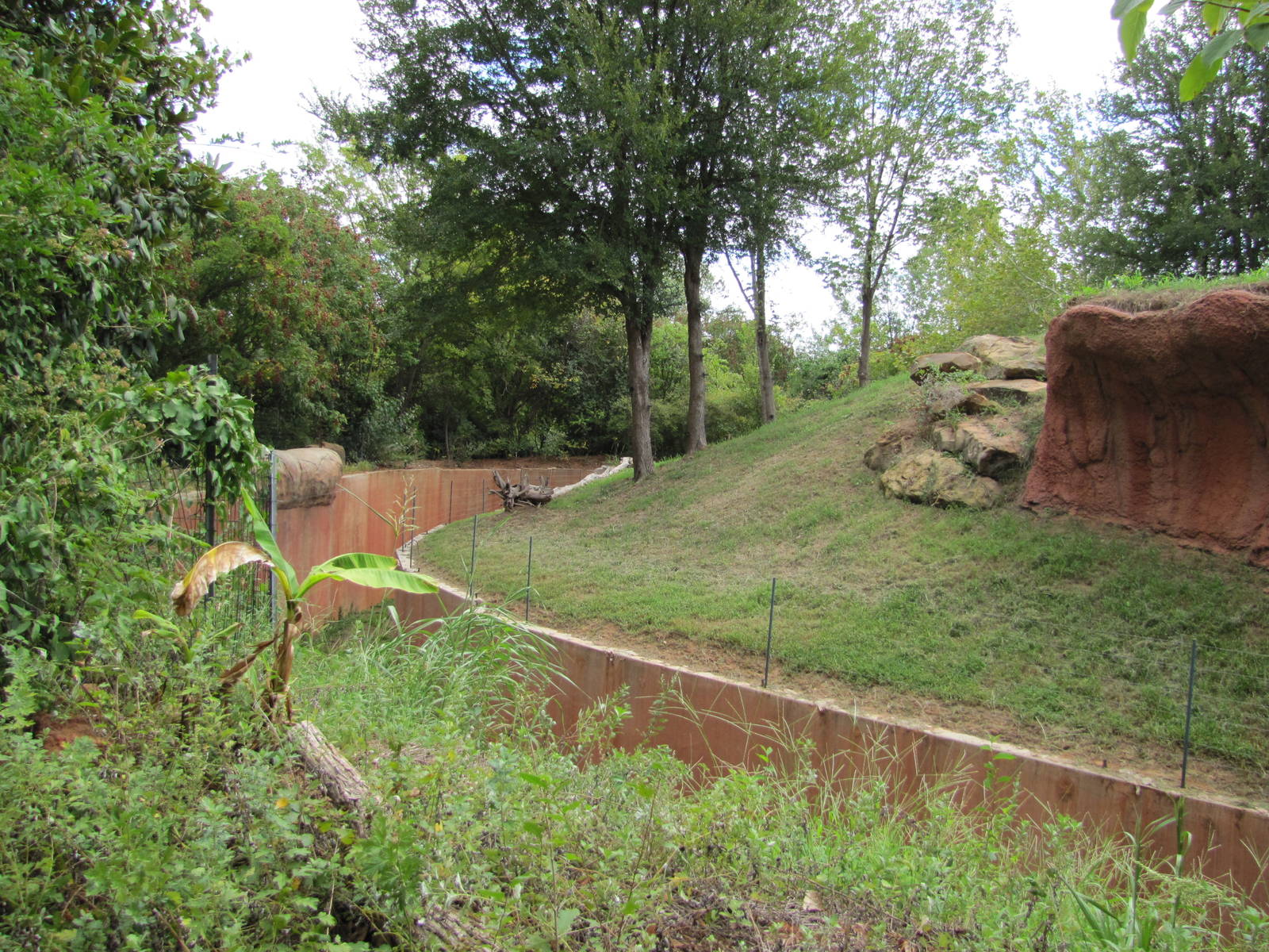 Oklahoma City Zoo 2010 - Part of Ape exhibit