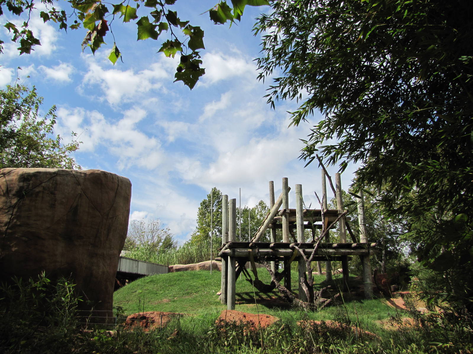Oklahoma City Zoo 2010 - Part of Ape exhibit
