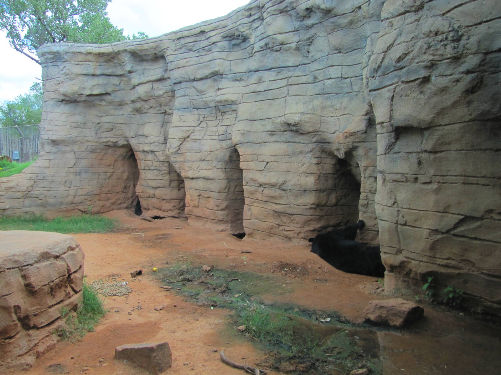 Oklahoma City Zoo 2010 - Part of Black Bear exhibit in Oklahoma Trails