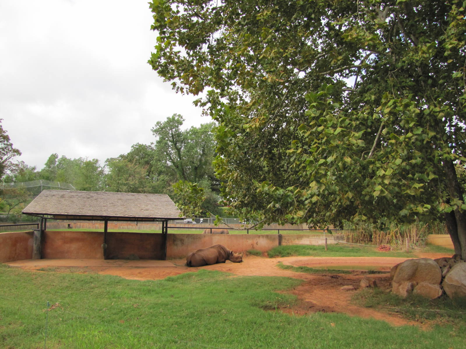 Oklahoma City Zoo 2010 - Part of Black Rhinoceros exhibit