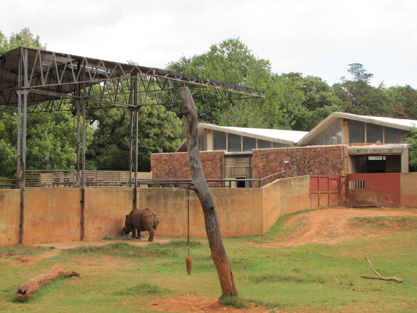 Oklahoma City Zoo 2010 - Part of Indian Rhinoceros exhibit