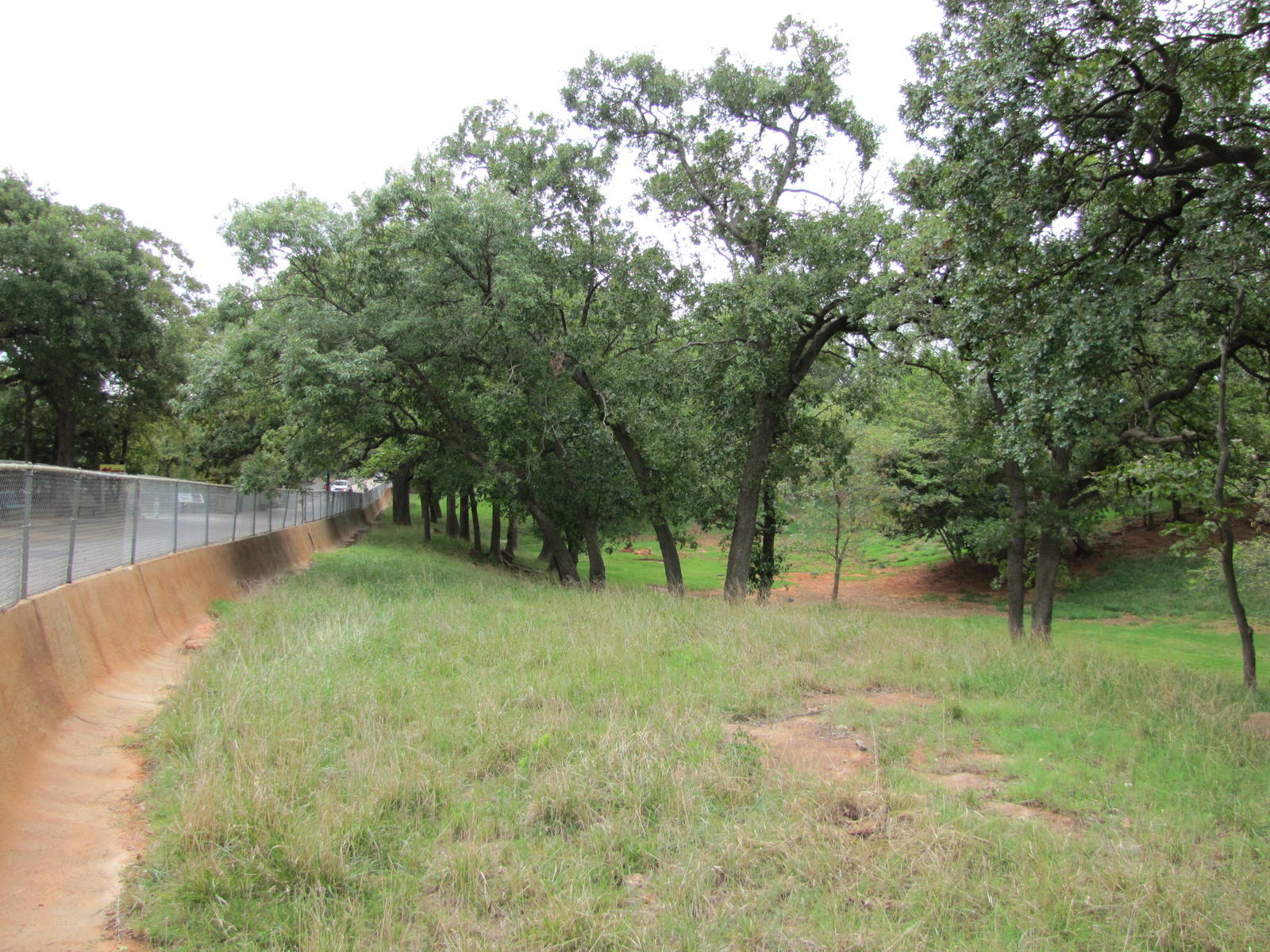 Oklahoma City Zoo 2010 - Part of large mixed deer exhibit