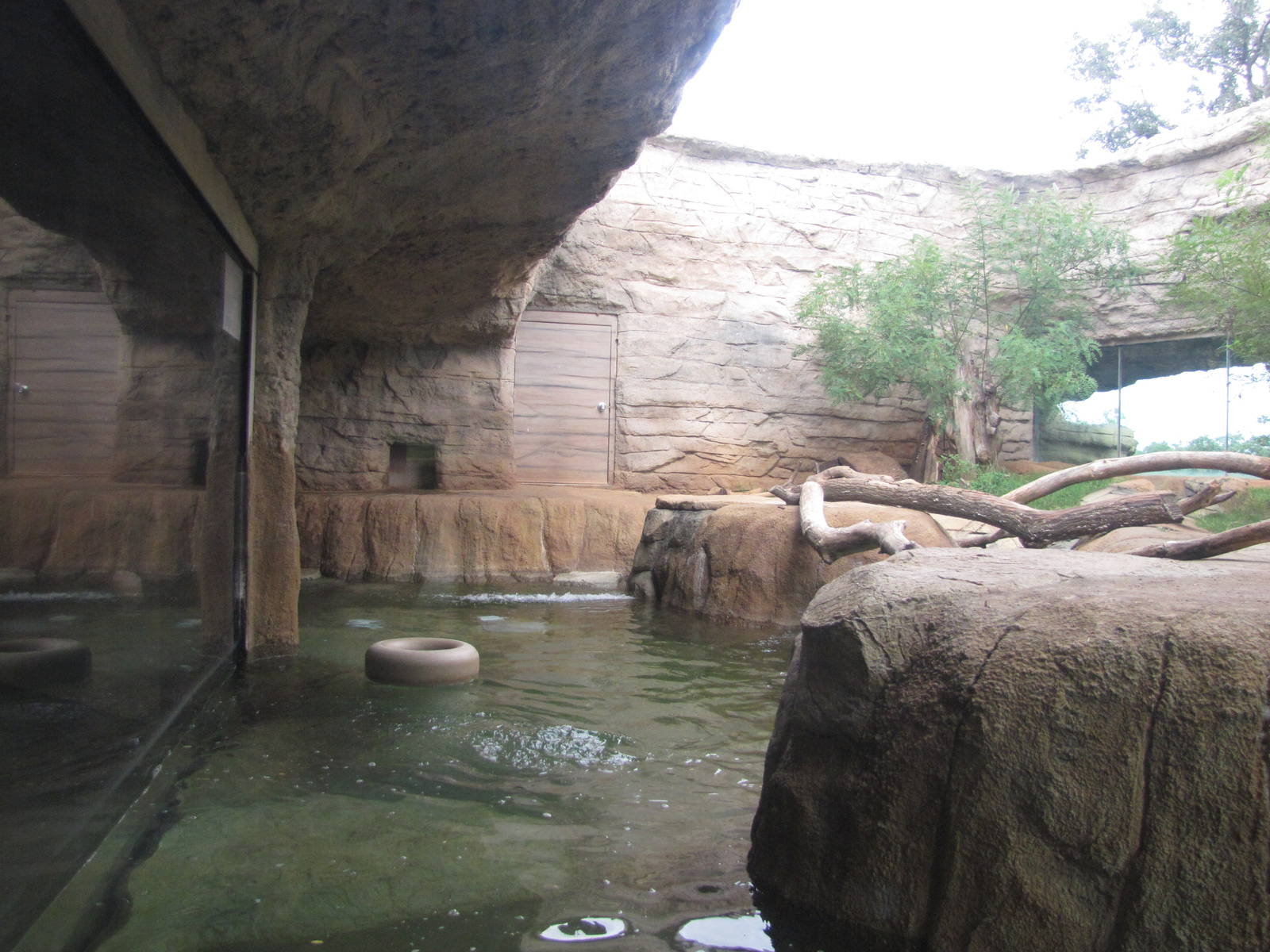 Oklahoma City Zoo 2010 - Part of River Otter exhibit in Oklahoma Trails