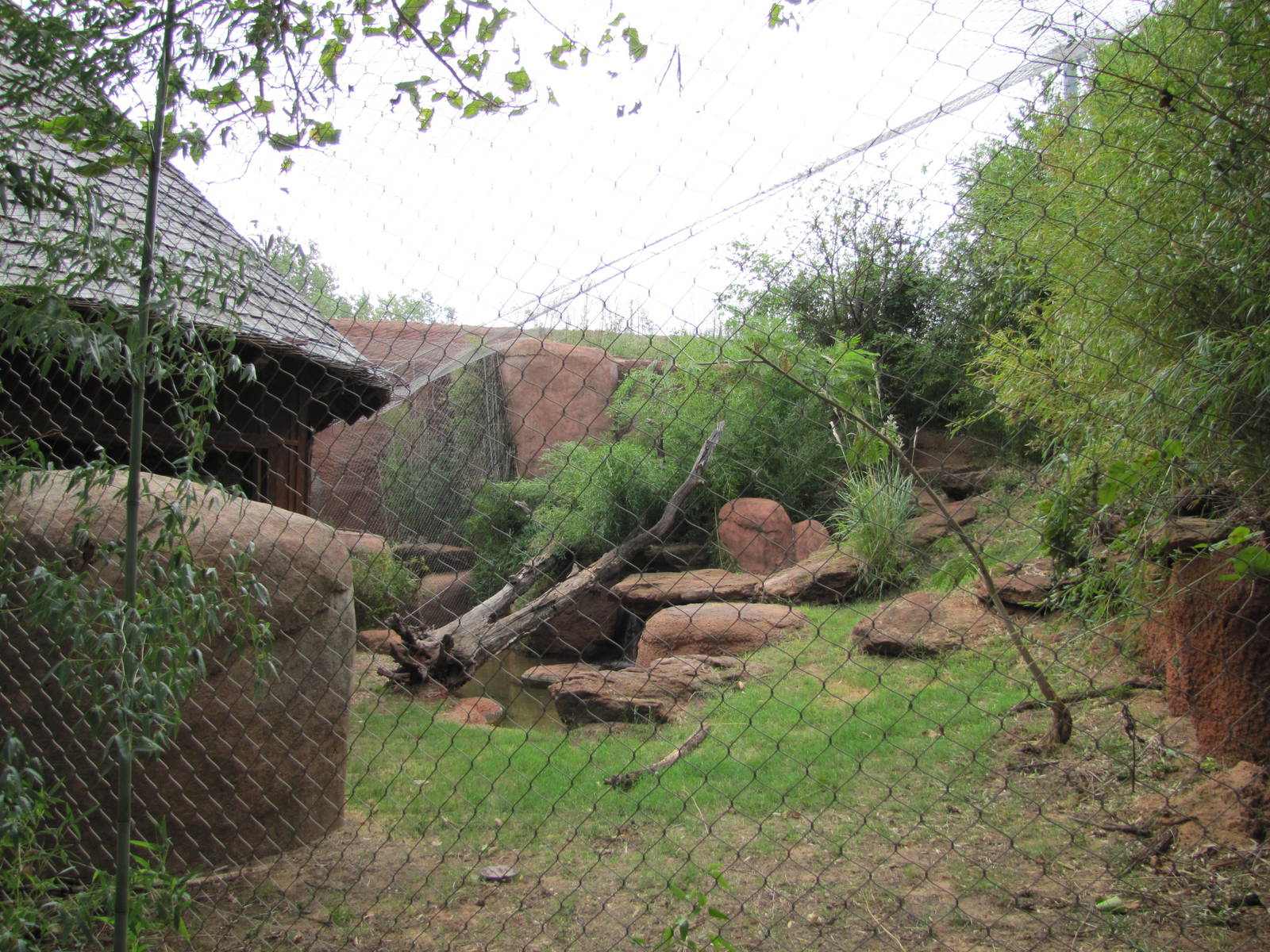 Oklahoma City Zoo 2010 - Part of Sumatran Tiger exhibit in Cat Forest