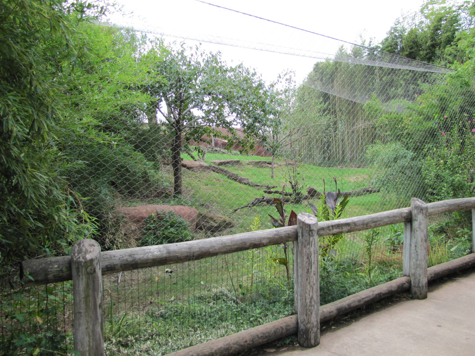 Oklahoma City Zoo 2010 - Part of Sumatran Tiger exhibit in Cat Forest