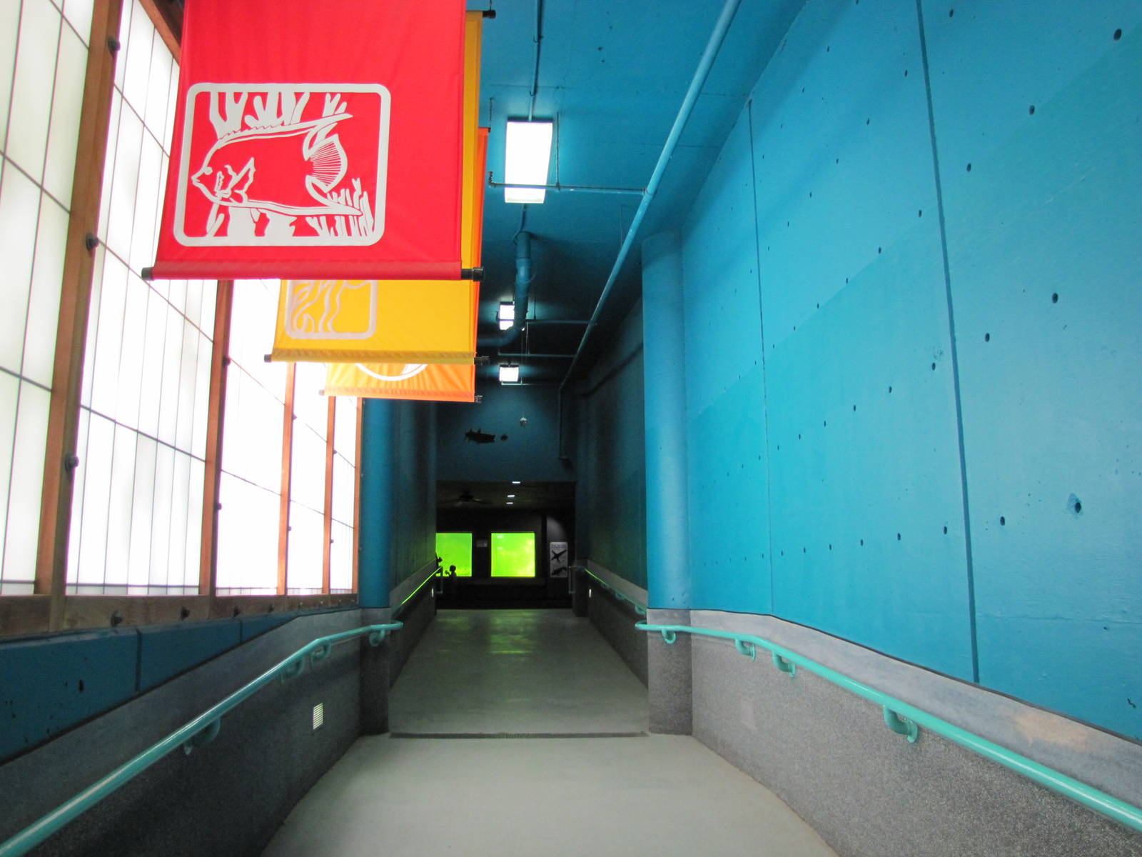 Oklahoma City Zoo 2010 - Passage between levels in Noble Aquatic Center