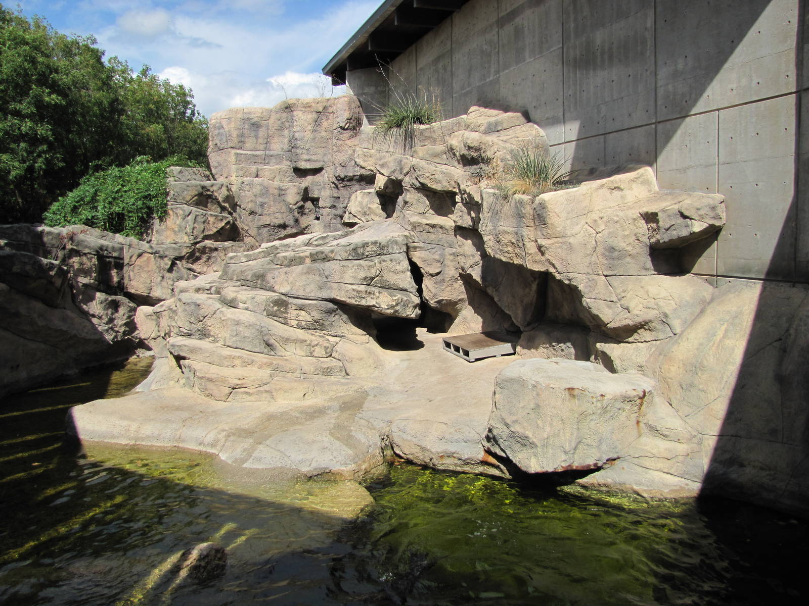 Oklahoma City Zoo 2010 - Seal and Sea Lion Pool outside Noble Aquatic Cente