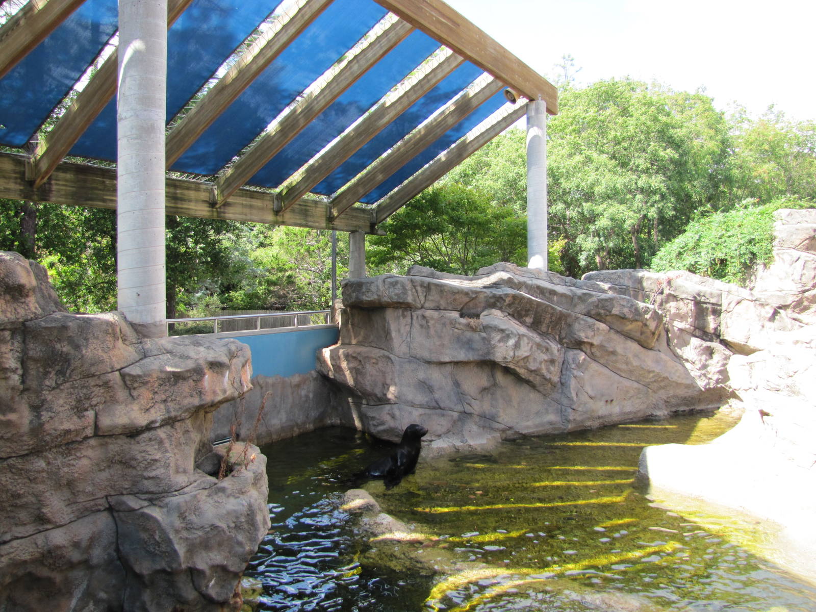 Oklahoma City Zoo 2010 - Seal and Sea Lion Pool outside Noble Aquatic Cente