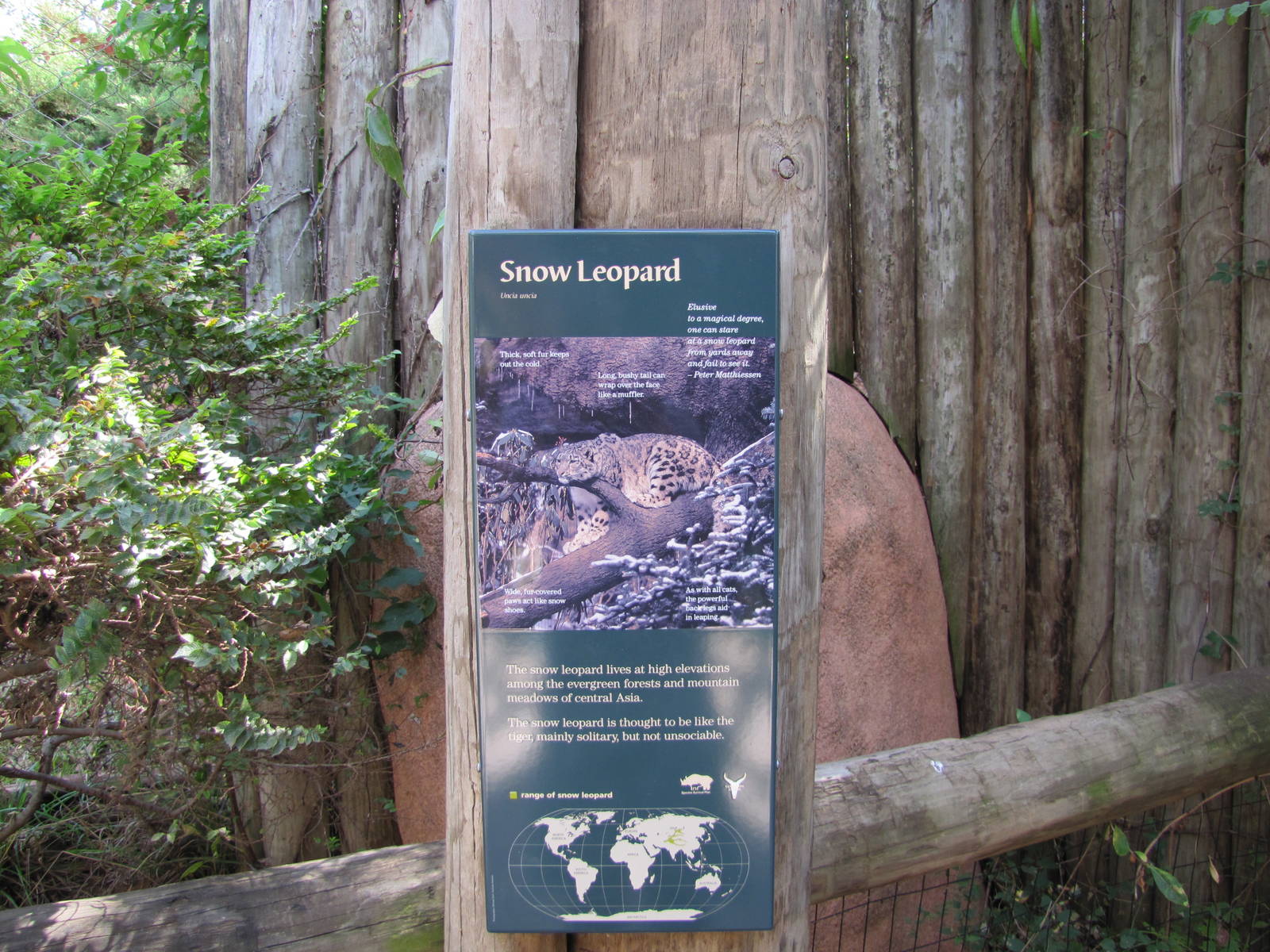 Oklahoma City Zoo 2010 - Signage example in Small Cat Center