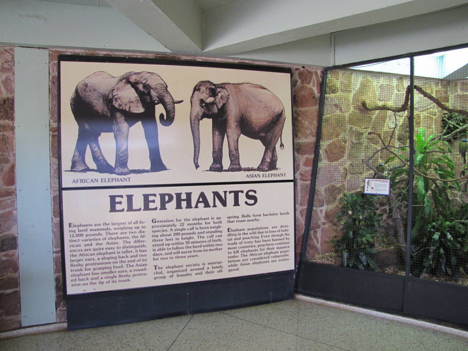 Oklahoma City Zoo 2010 - Signage in Pachyderm Building
