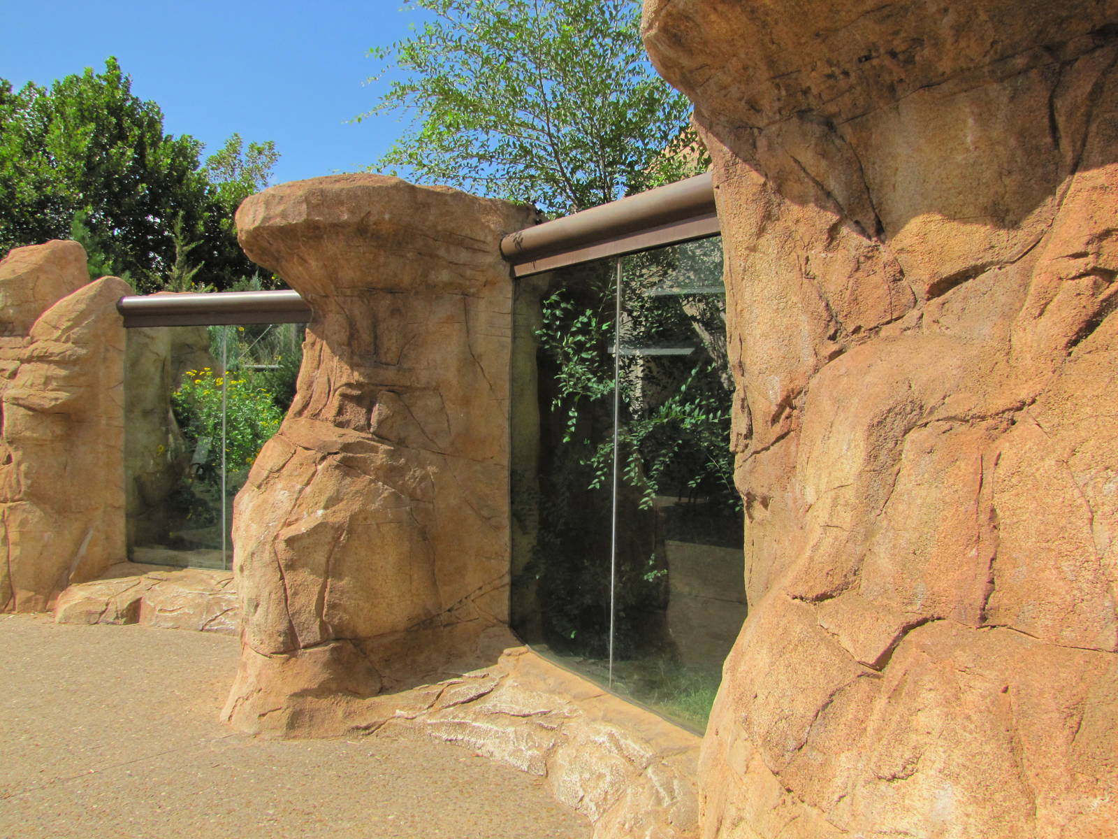 Oklahoma City Zoo 2010 - Swift Fox exhibit in Oklahoma Trails