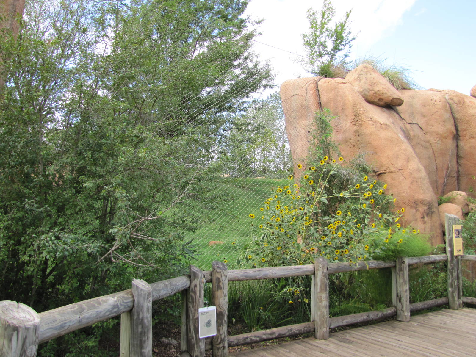 Oklahoma City Zoo 2010 - Viewing point for African Lion exhibit