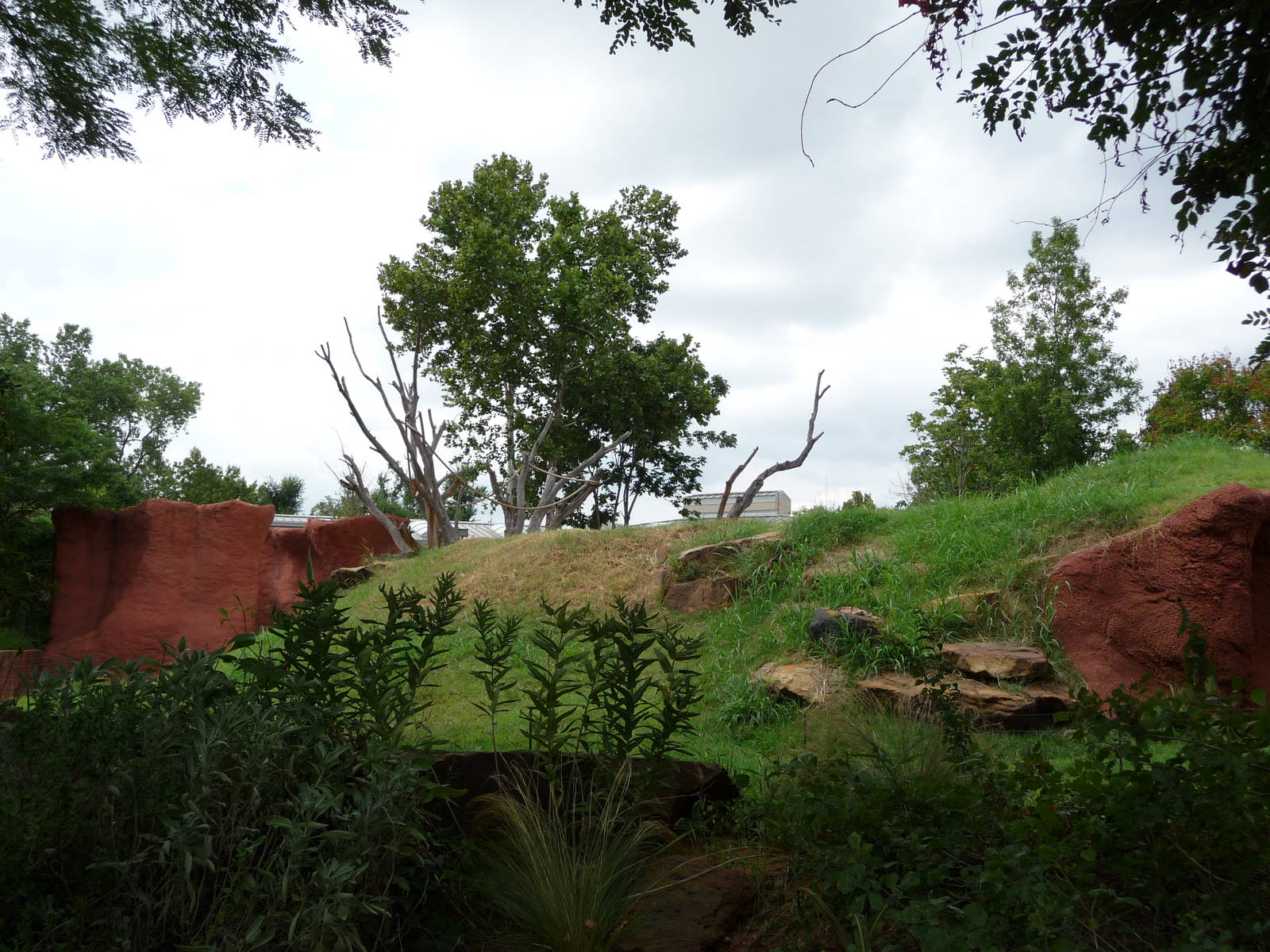 Oklahoma City Zoo -  Chimpanzee Exhibit