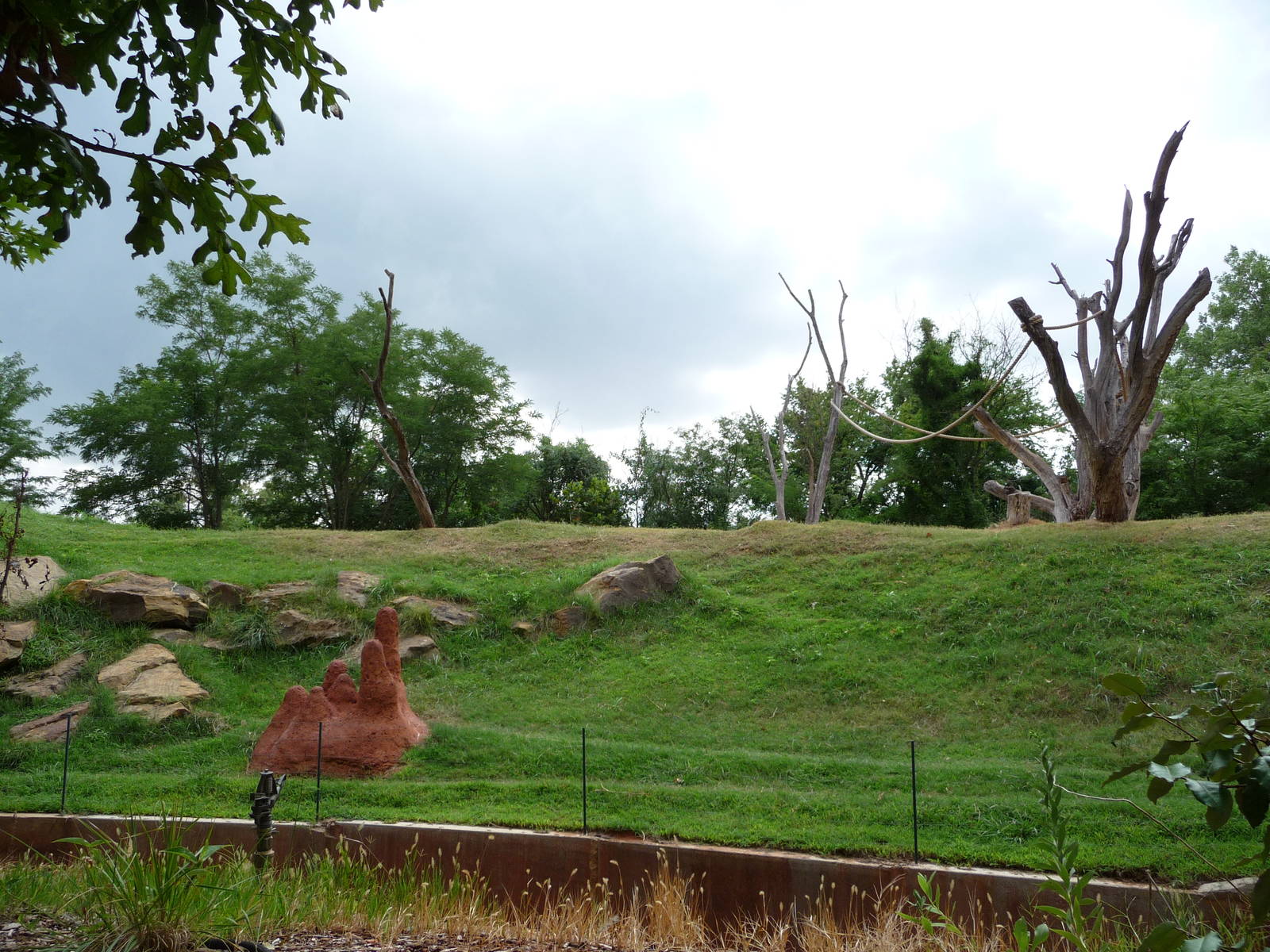 Oklahoma City Zoo -  Chimpanzee Exhibit