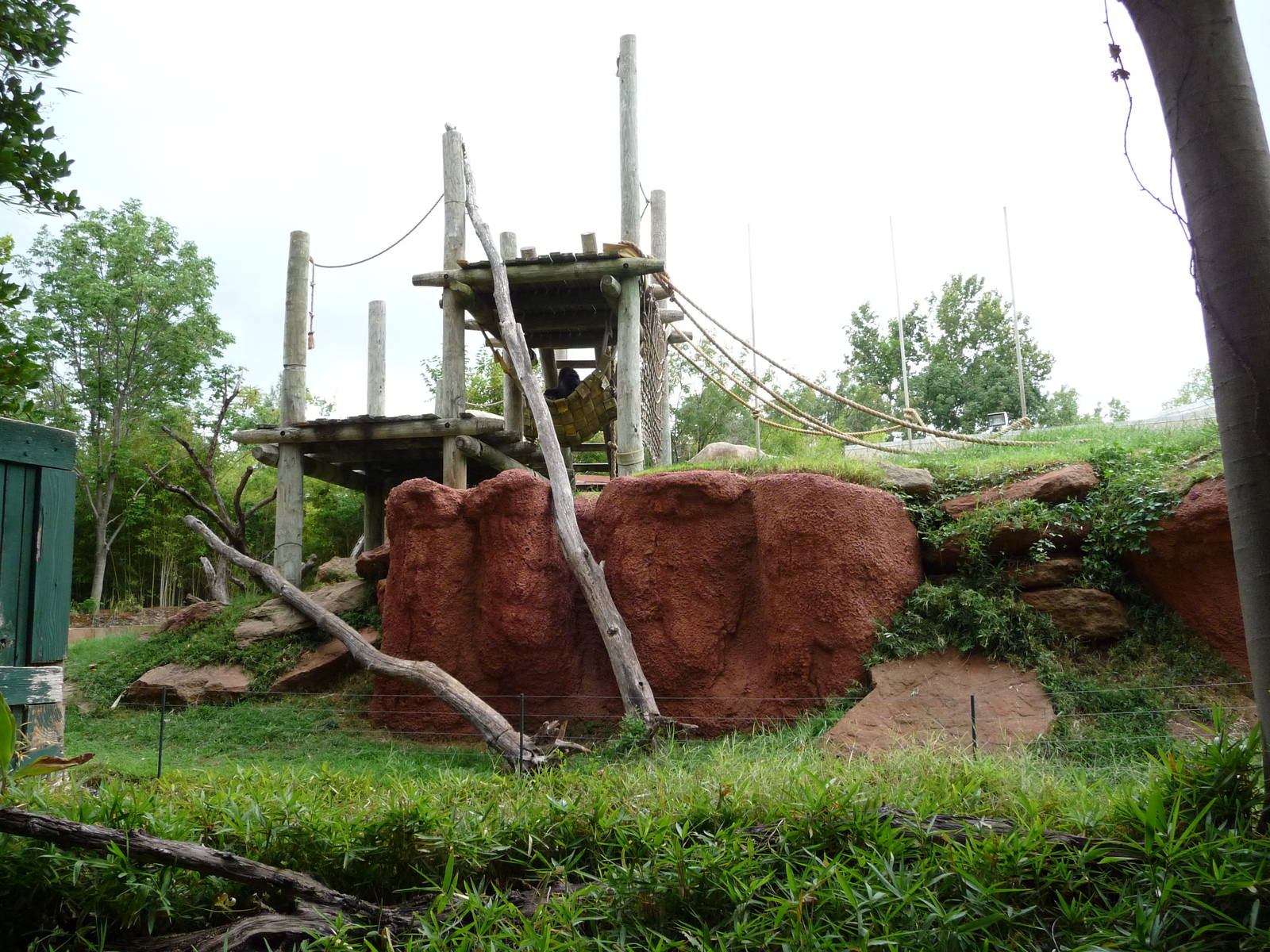Oklahoma City Zoo - Gorilla Exhibit