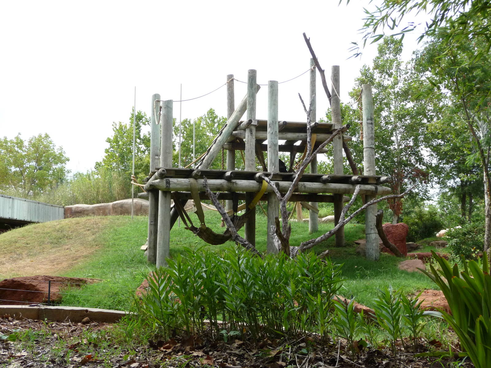 Oklahoma City Zoo - Gorilla Exhibit